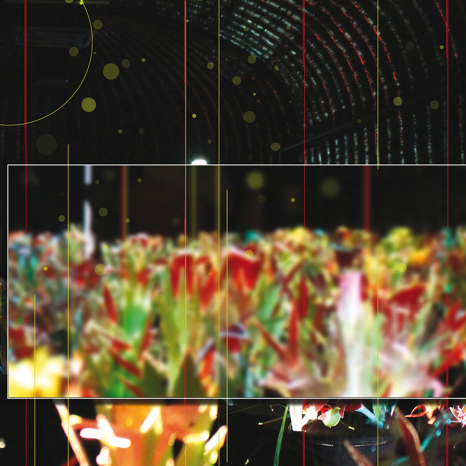Mostra il prodotto Fiori Di Vetro del produttore Agena