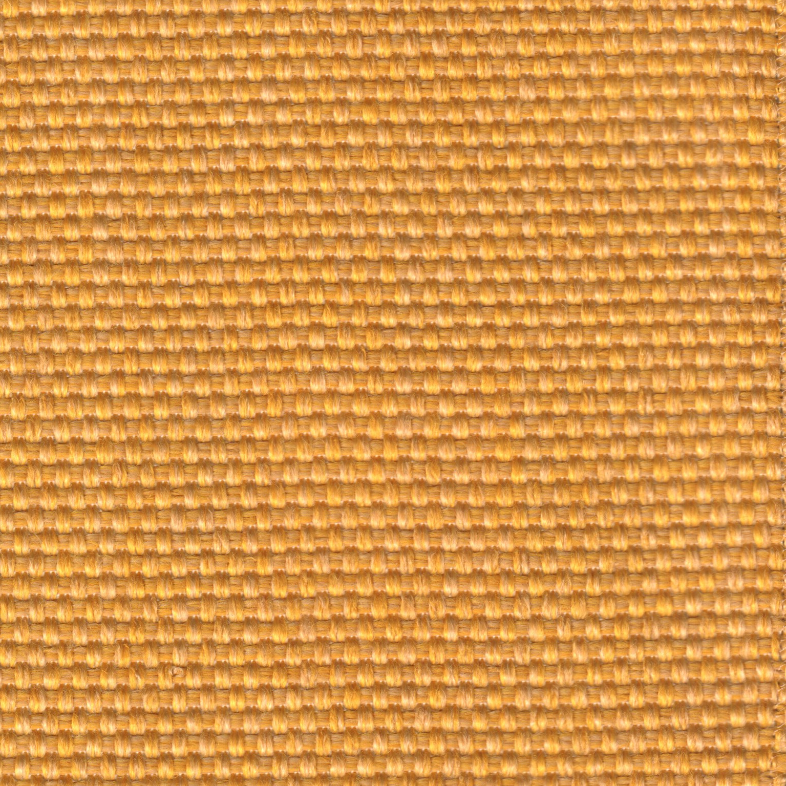 Atollo 4