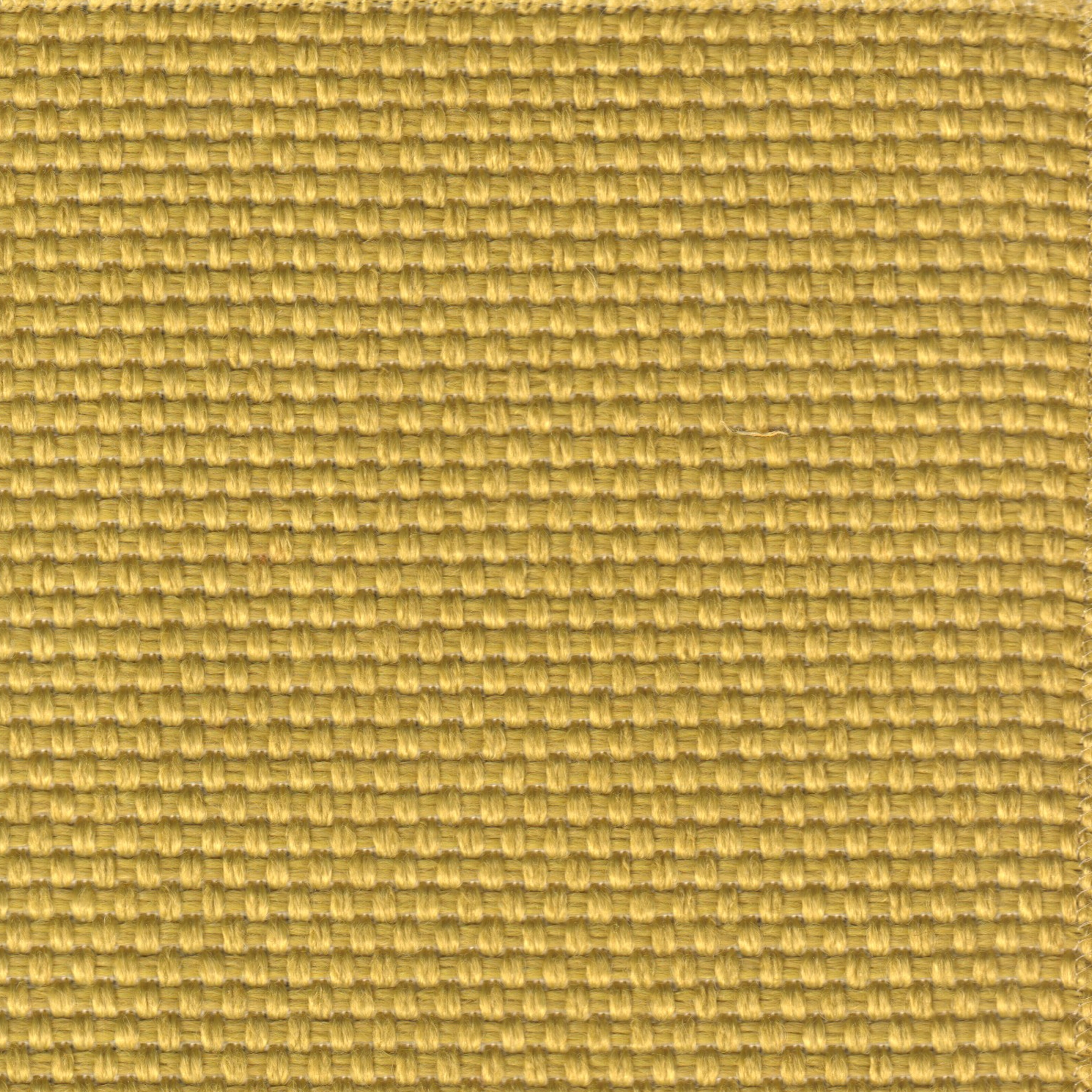 Atollo 5