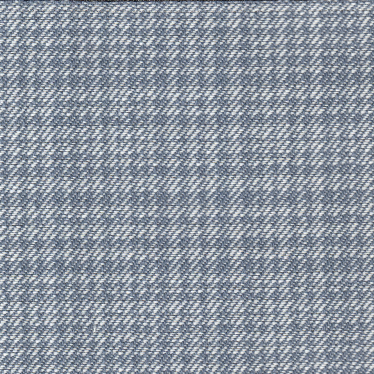 Panfilo 11