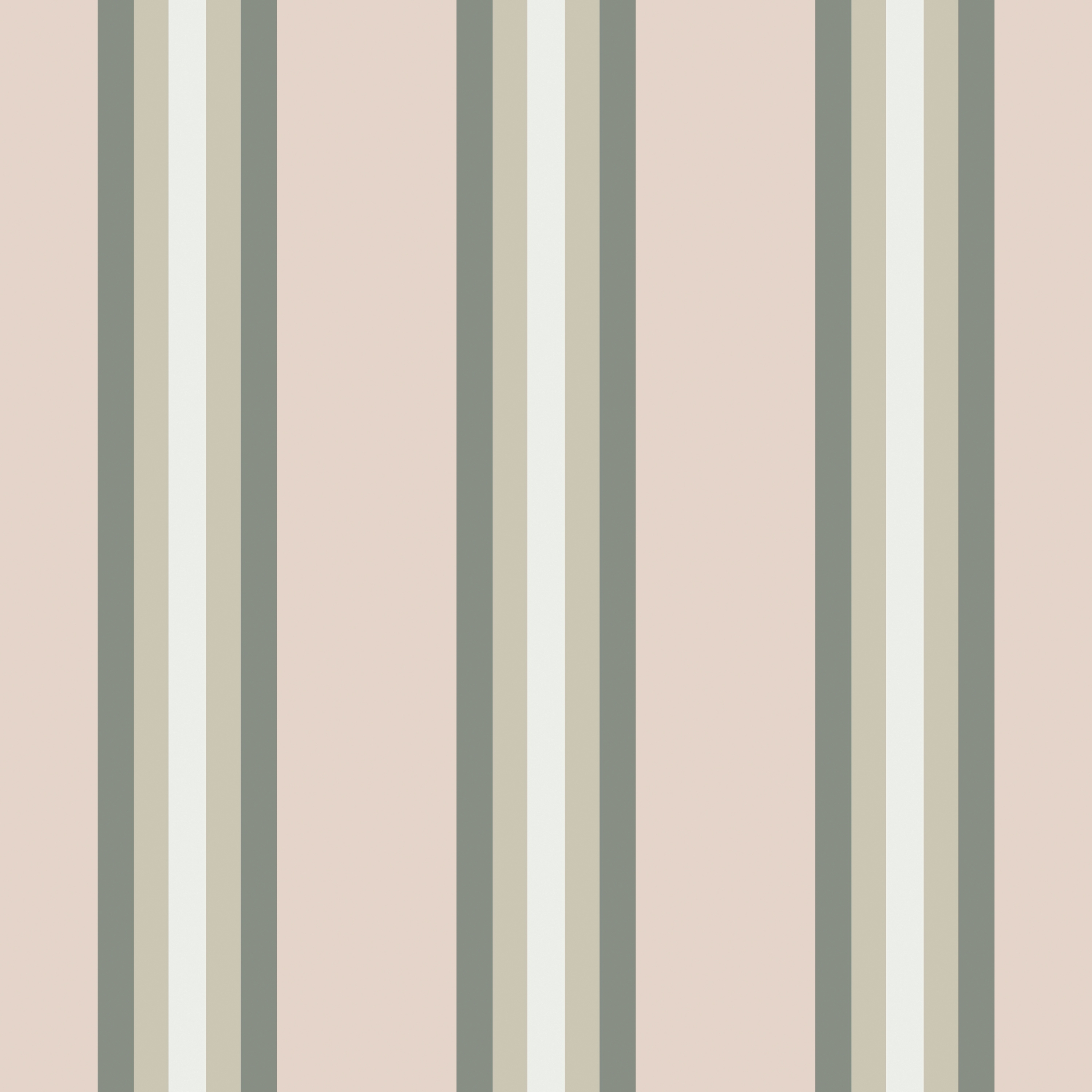 Stripe Delicate