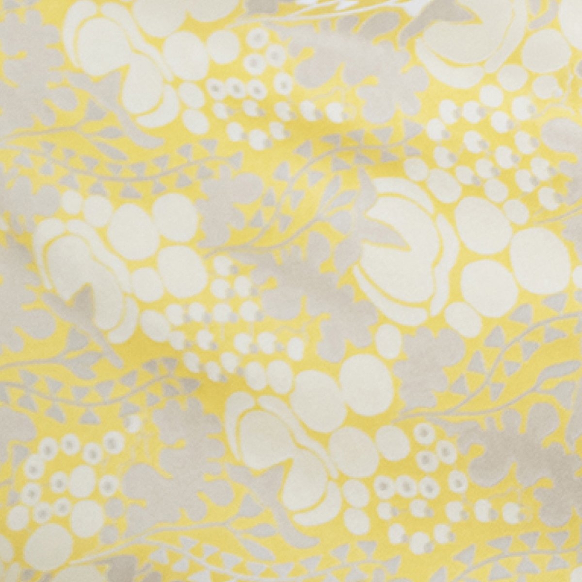Afficher le produit Dazzling 40 du fabricant Agena