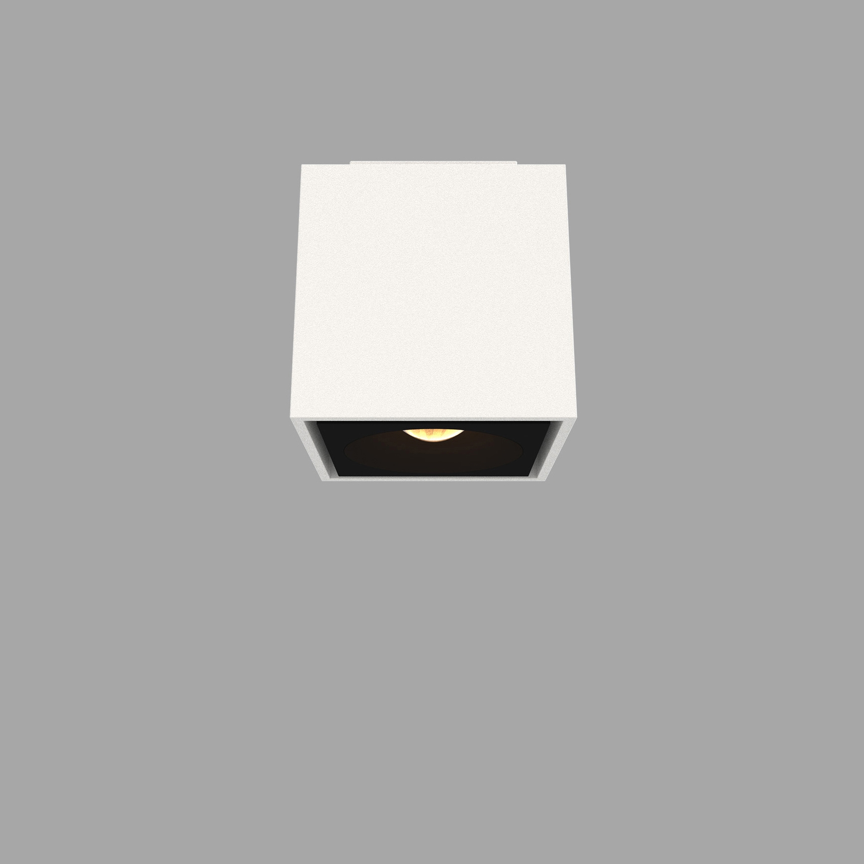 Ceiling light | Metis D880038