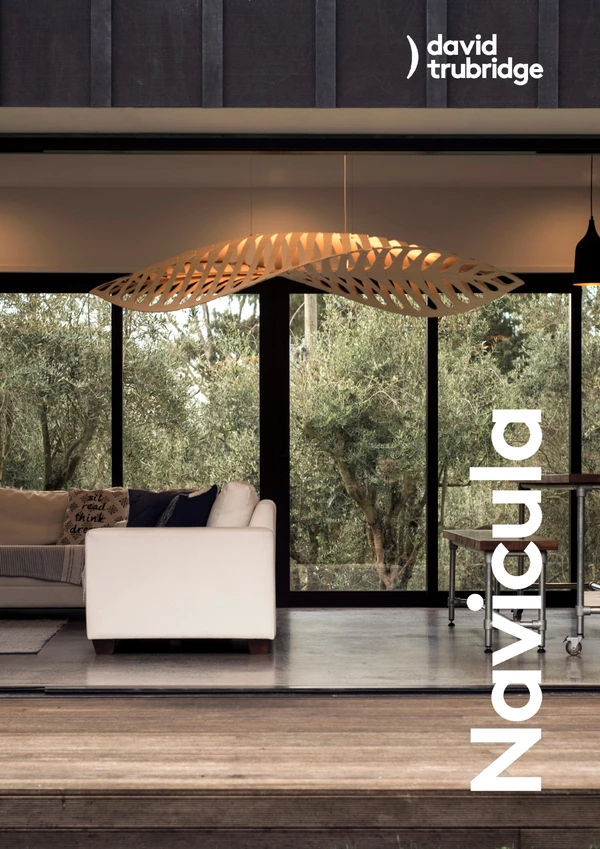 Preview image for the file Navicula