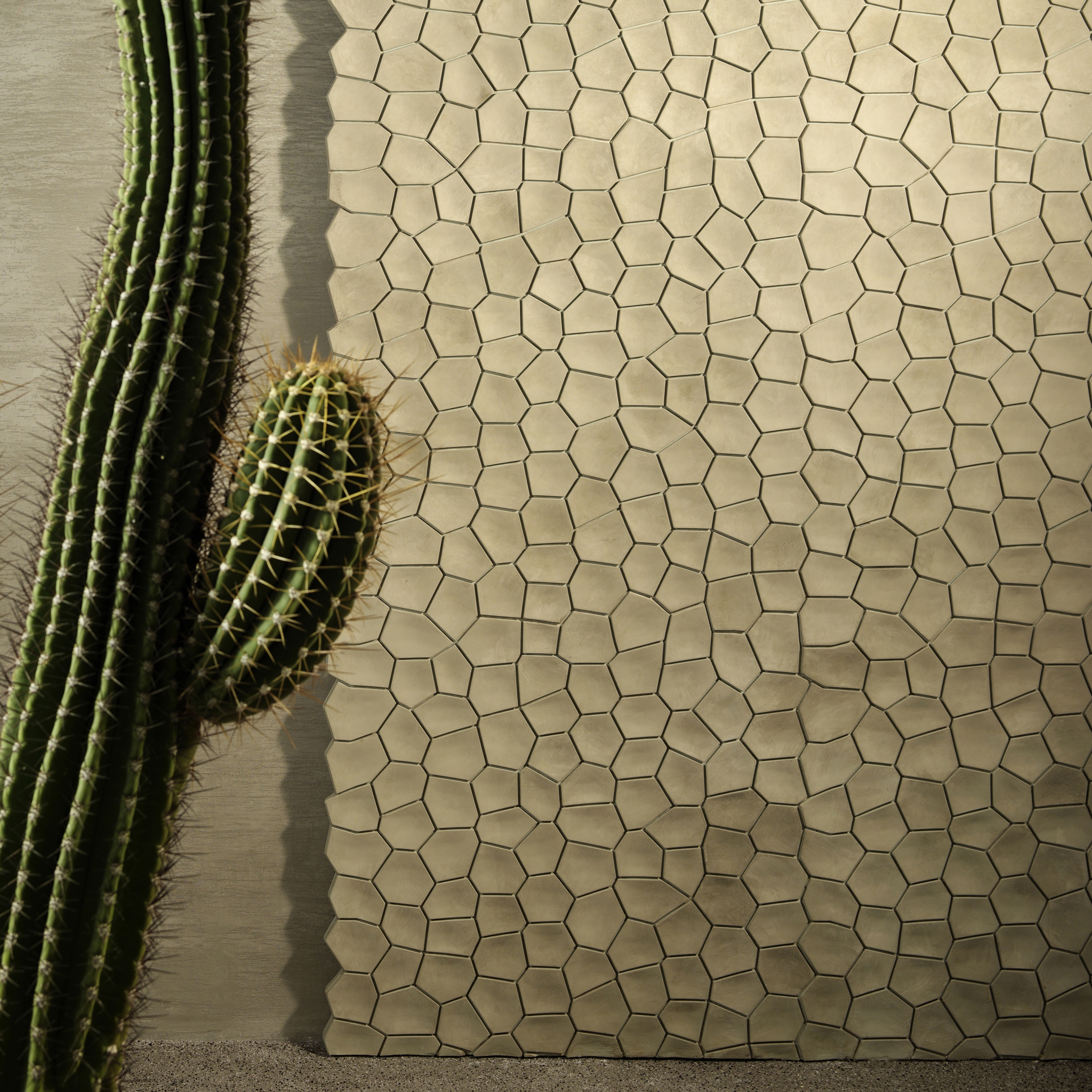 Display product Arido from manufacturer 3D Surface