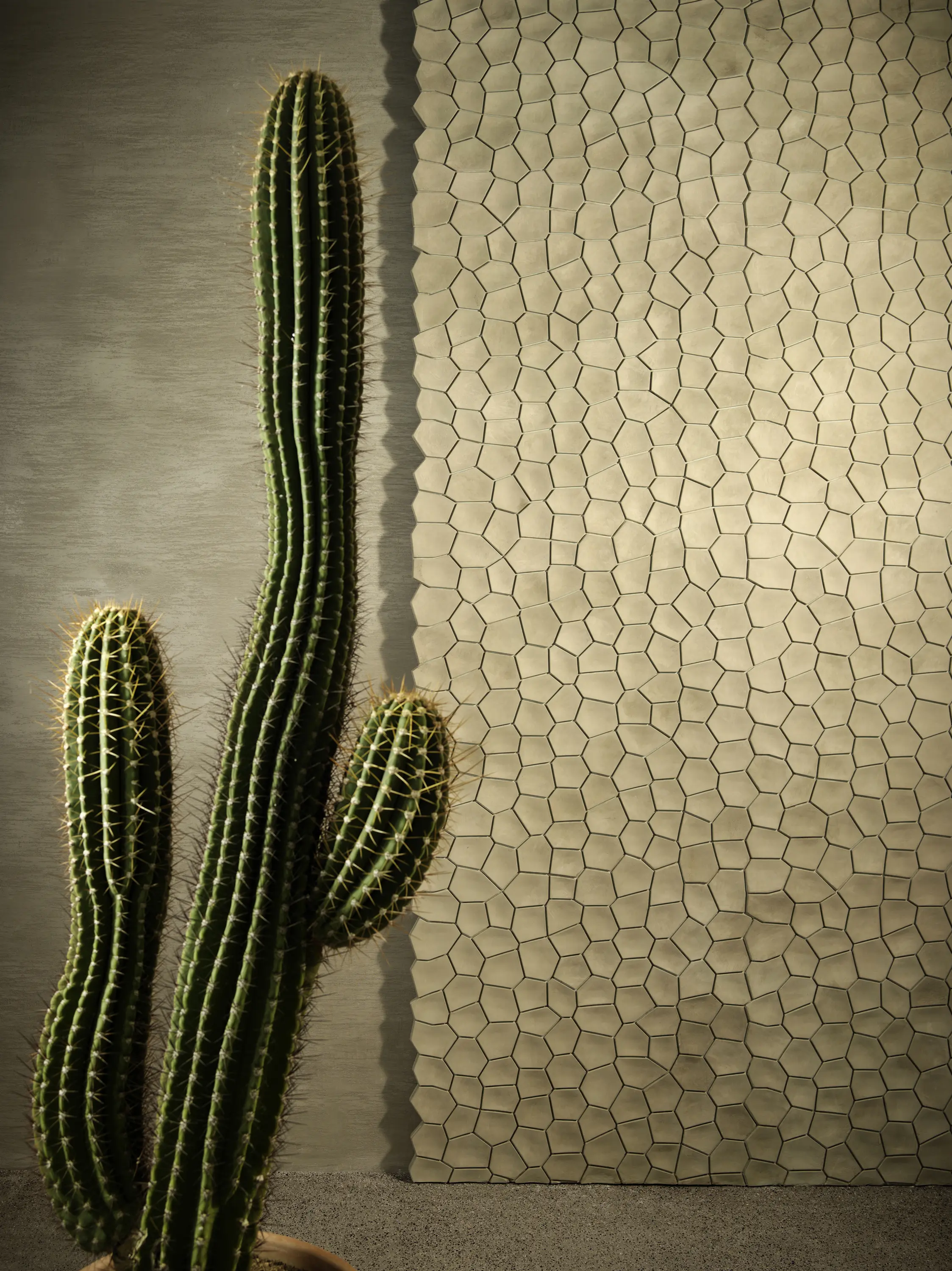 3D Surface - Arido