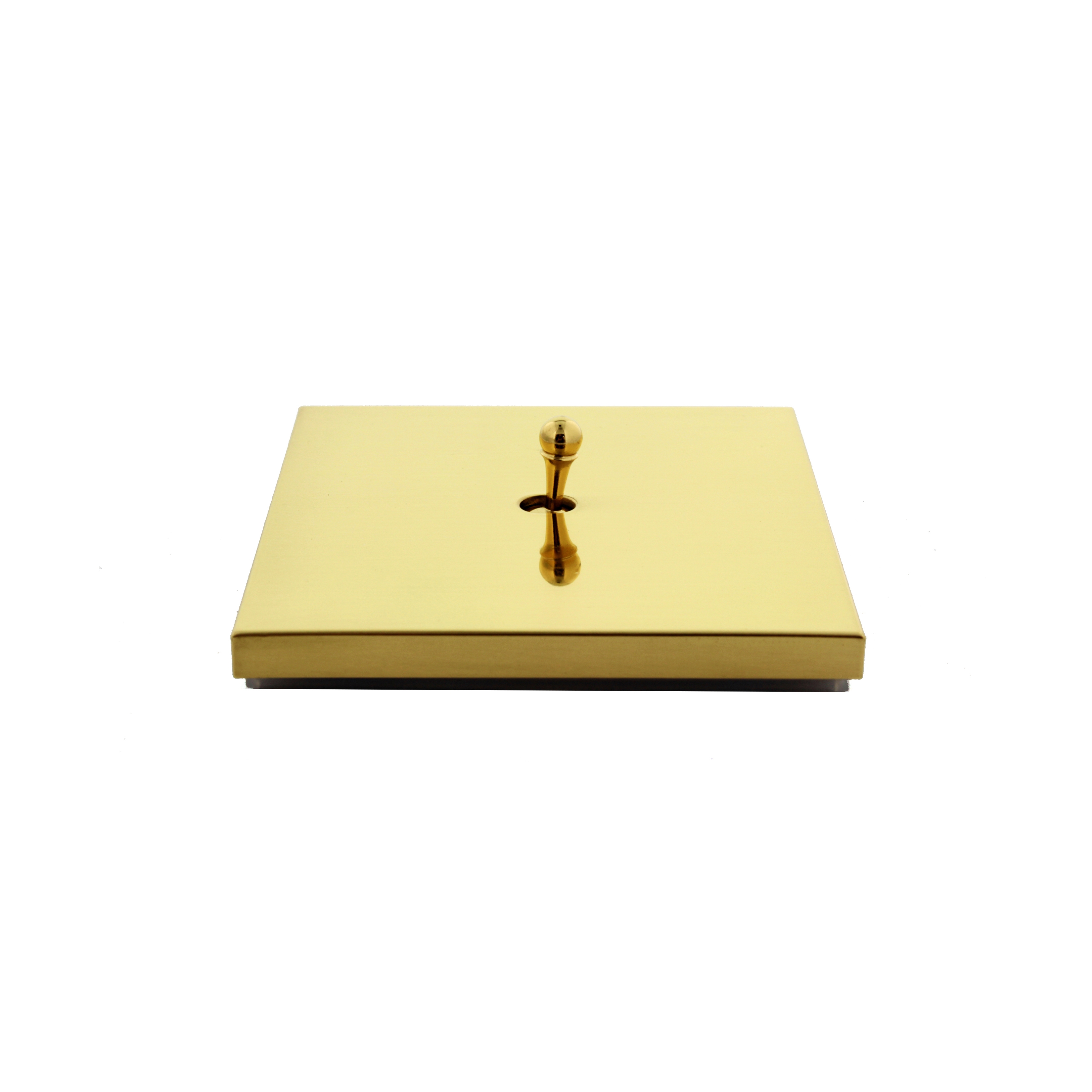 Mostra il prodotto Sydney Lillyflower HD Brushed Brass del produttore Luxonov