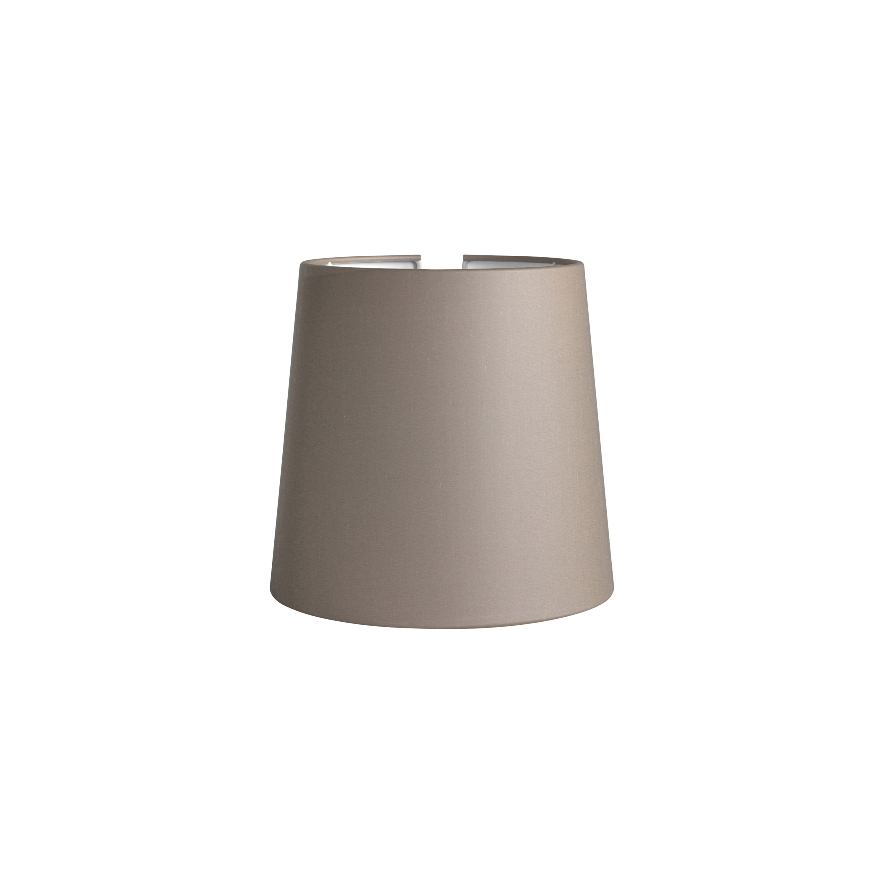 Cone 173 | Oyster