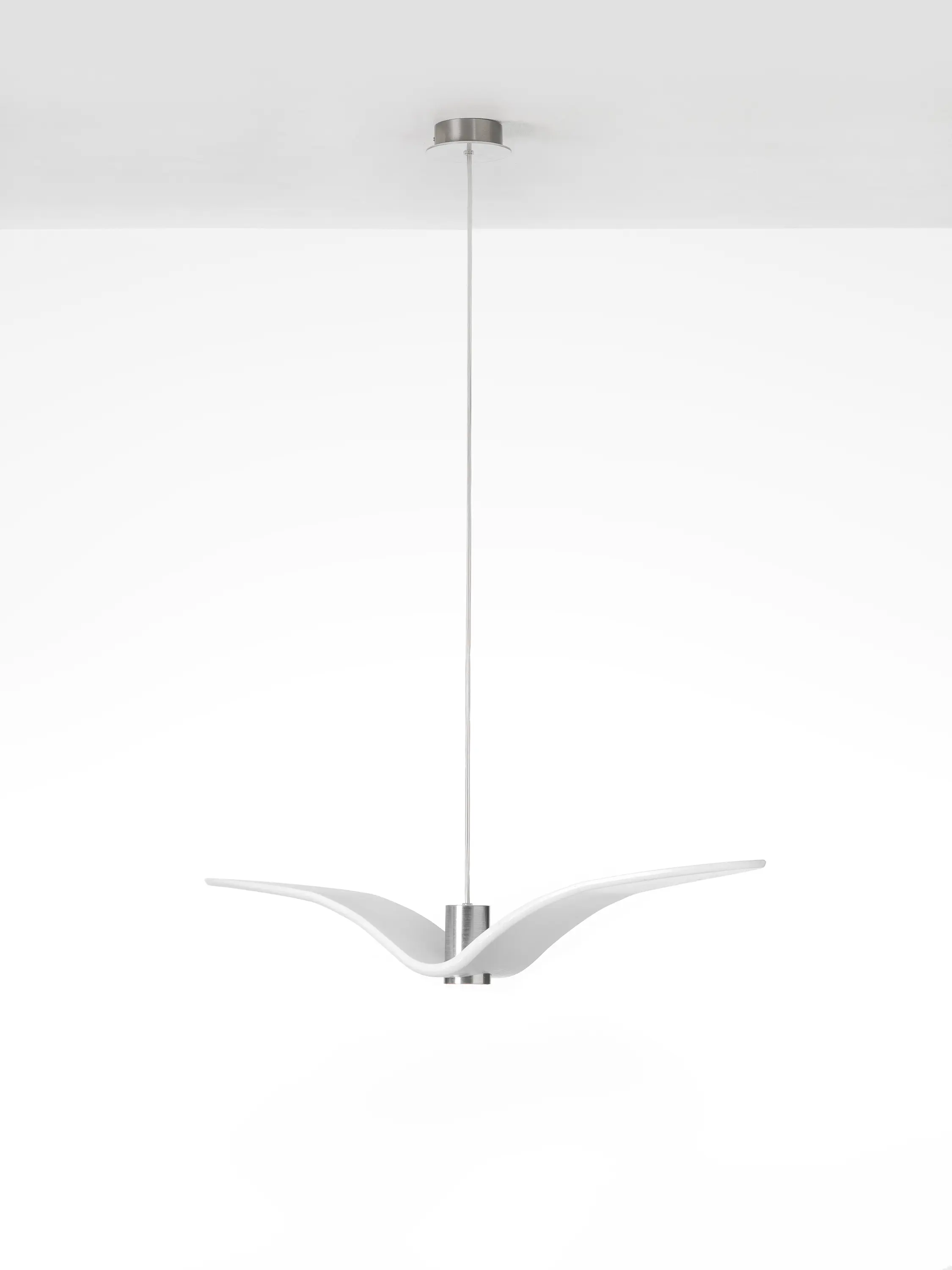 Brokis - Night Birds PC962