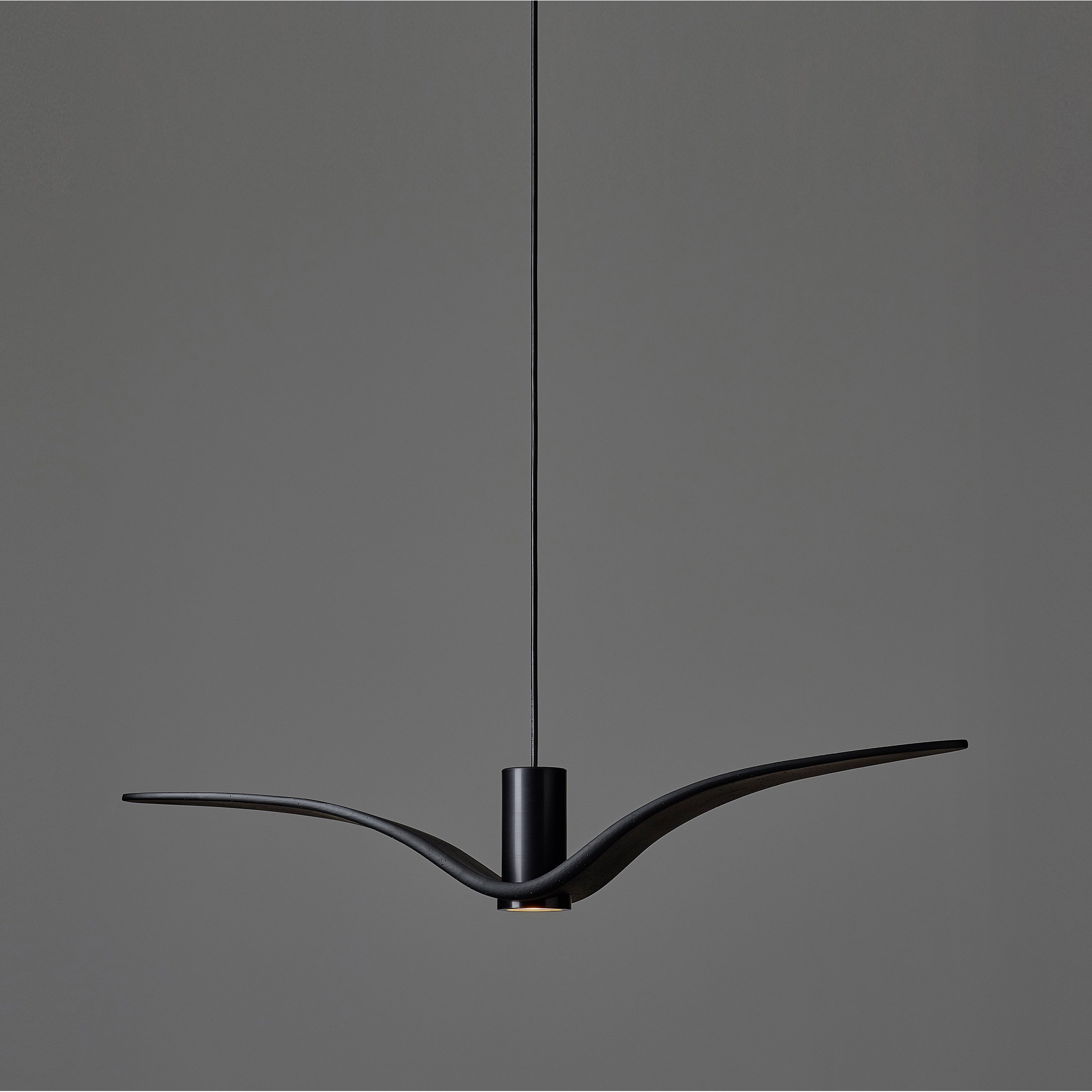 Night Birds Exterior PC1111