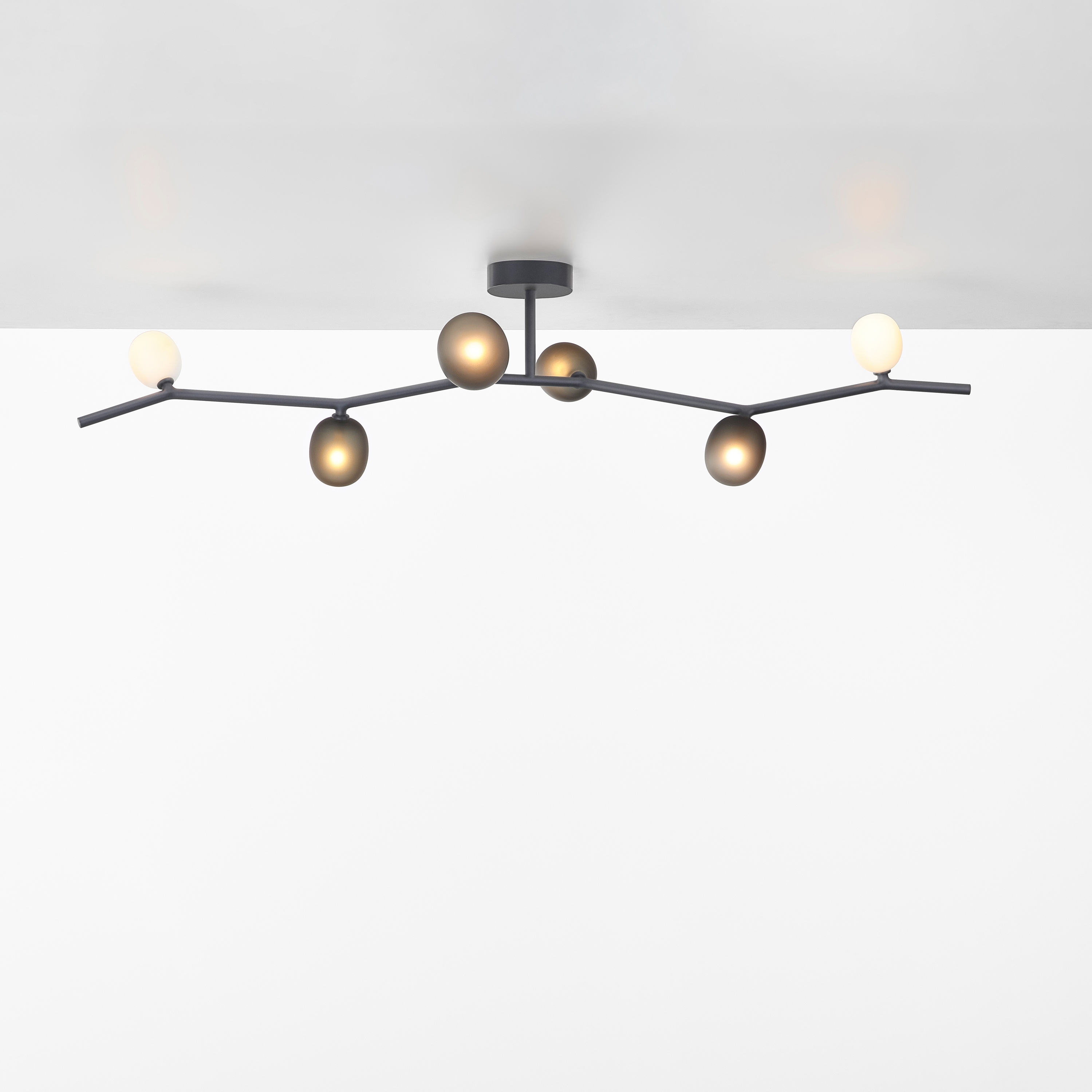Display product Ivy Ceiling 6 PC1227 from manufacturer Brokis