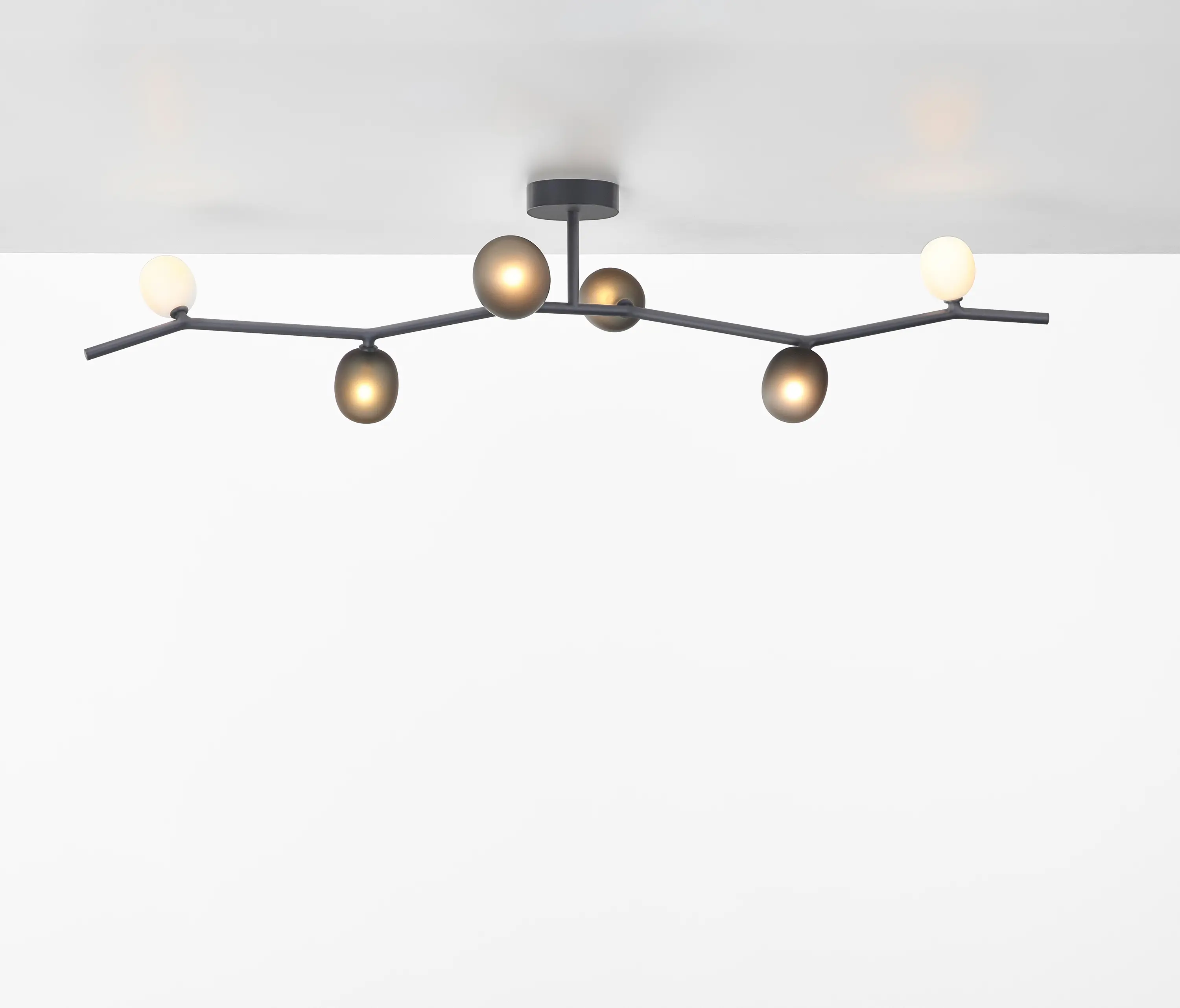 Brokis - Ivy Ceiling 6 PC1227