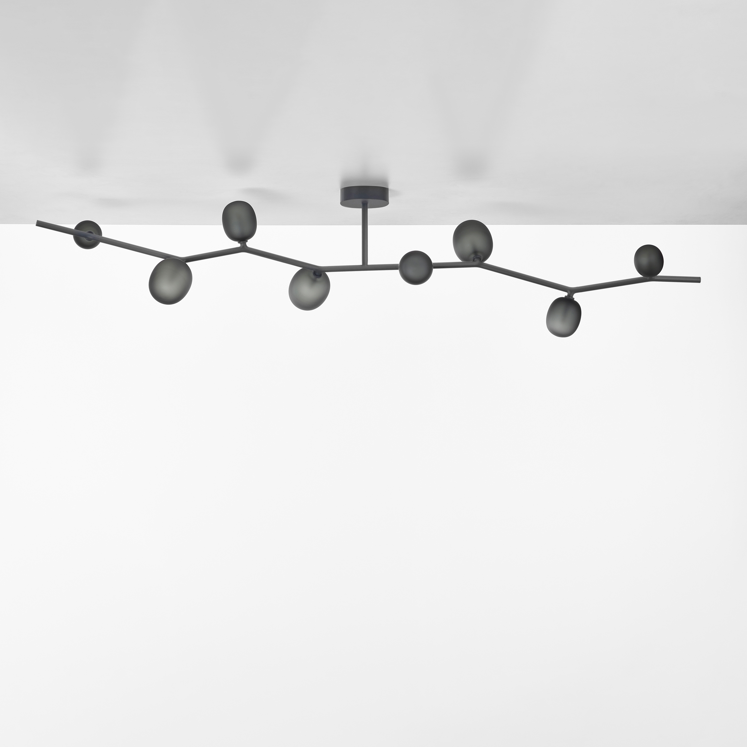 Display product Ivy Ceiling 8 PC1229 from manufacturer Brokis