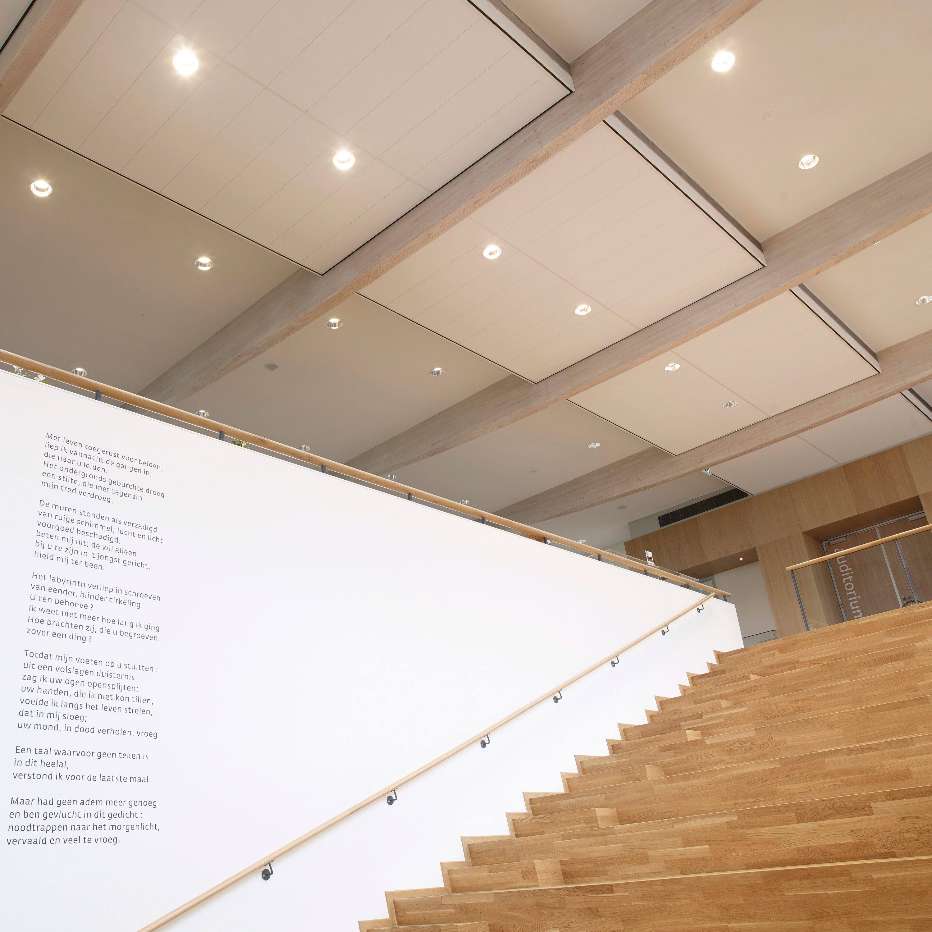 Display product OWAcoustic premium Sinfonia from manufacturer OWA