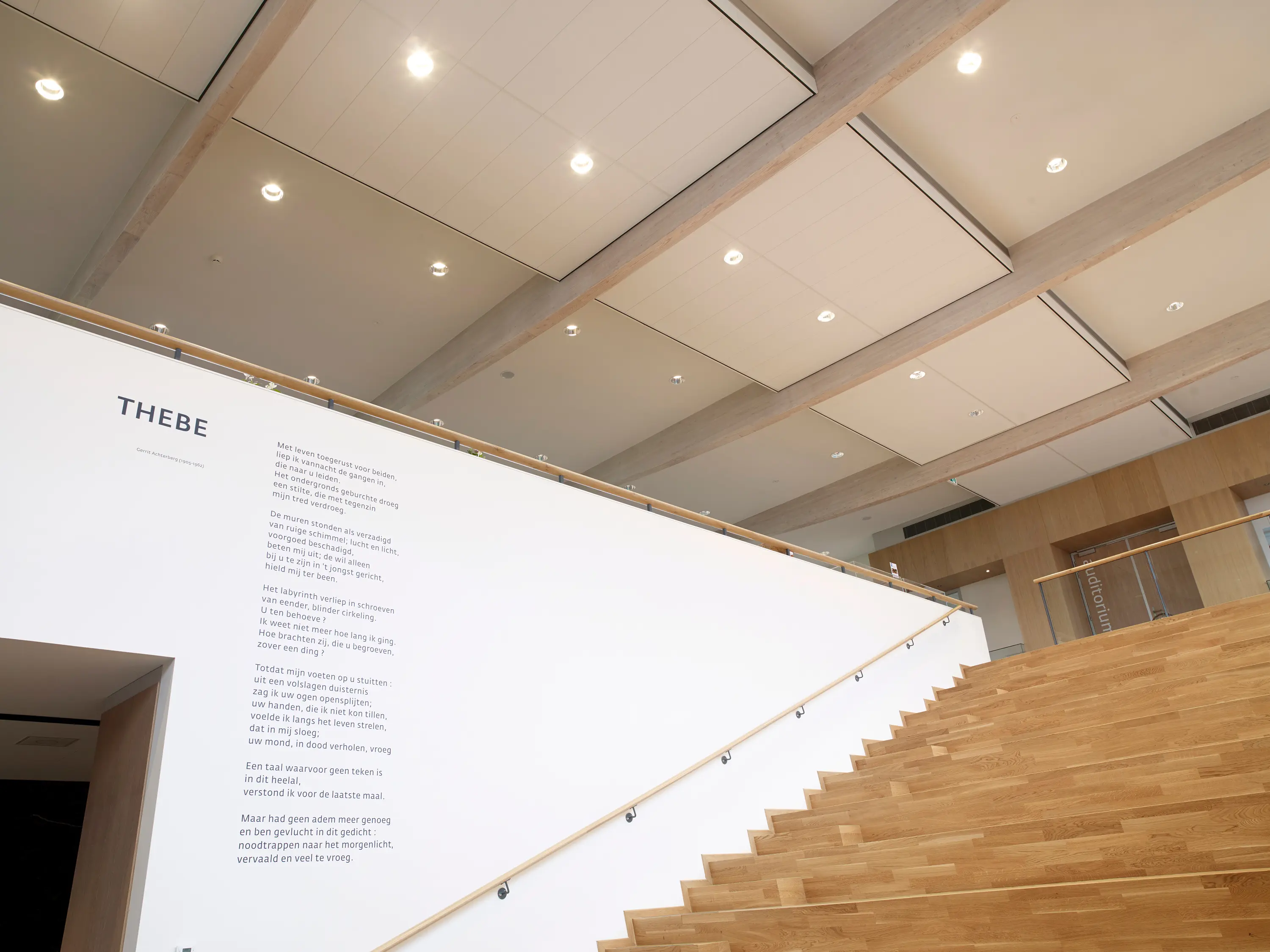 OWA - OWAcoustic premium Sinfonia