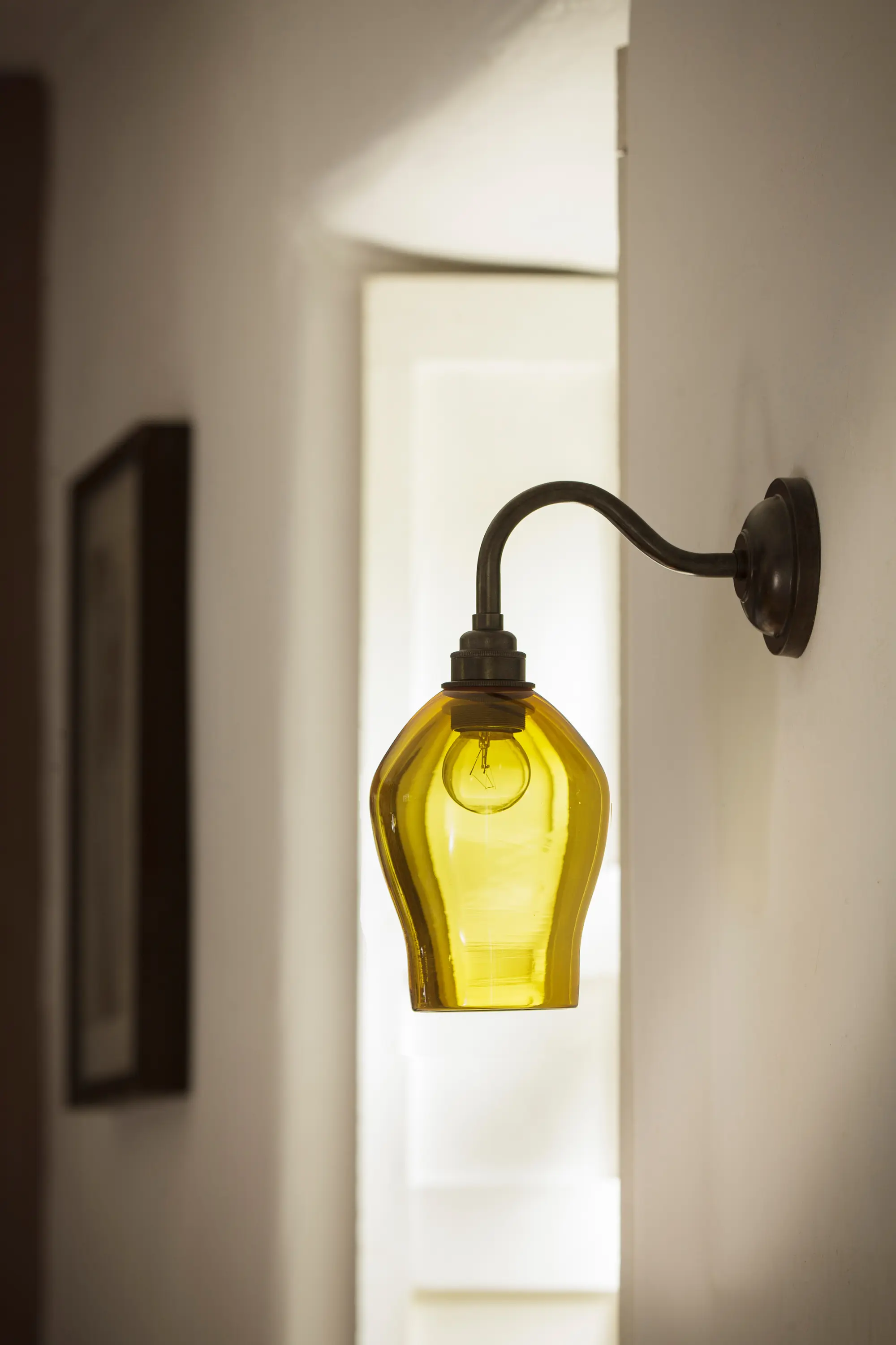 Curiousa&Curiousa - Single Arm