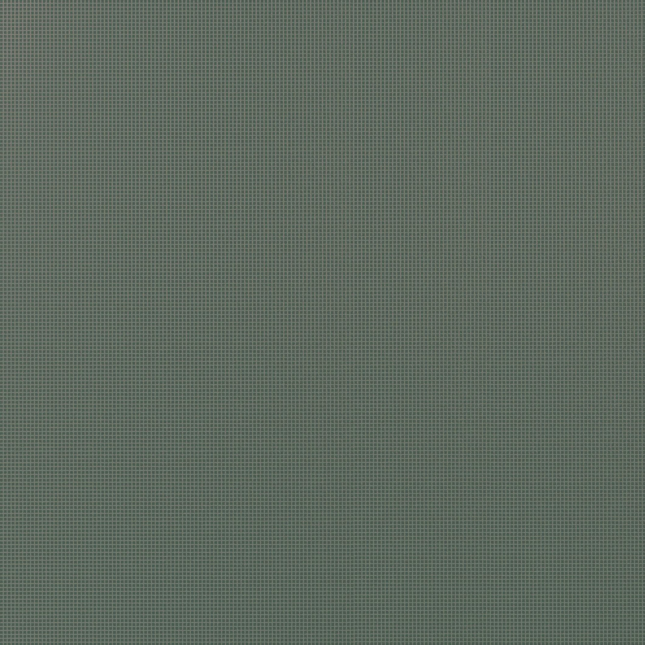 Graph Color GP 021