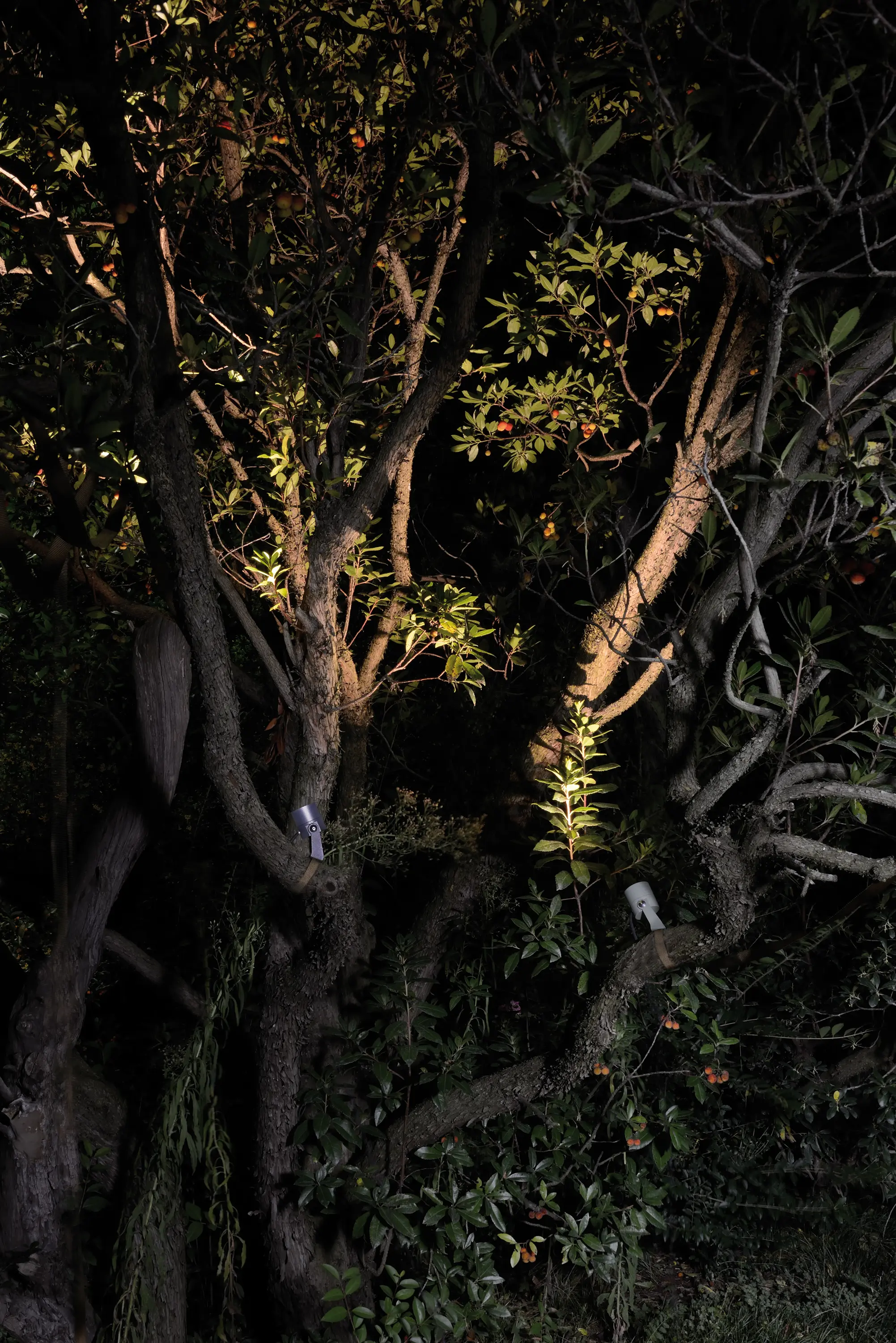 L&L Luce&Light - Ginko 4.0