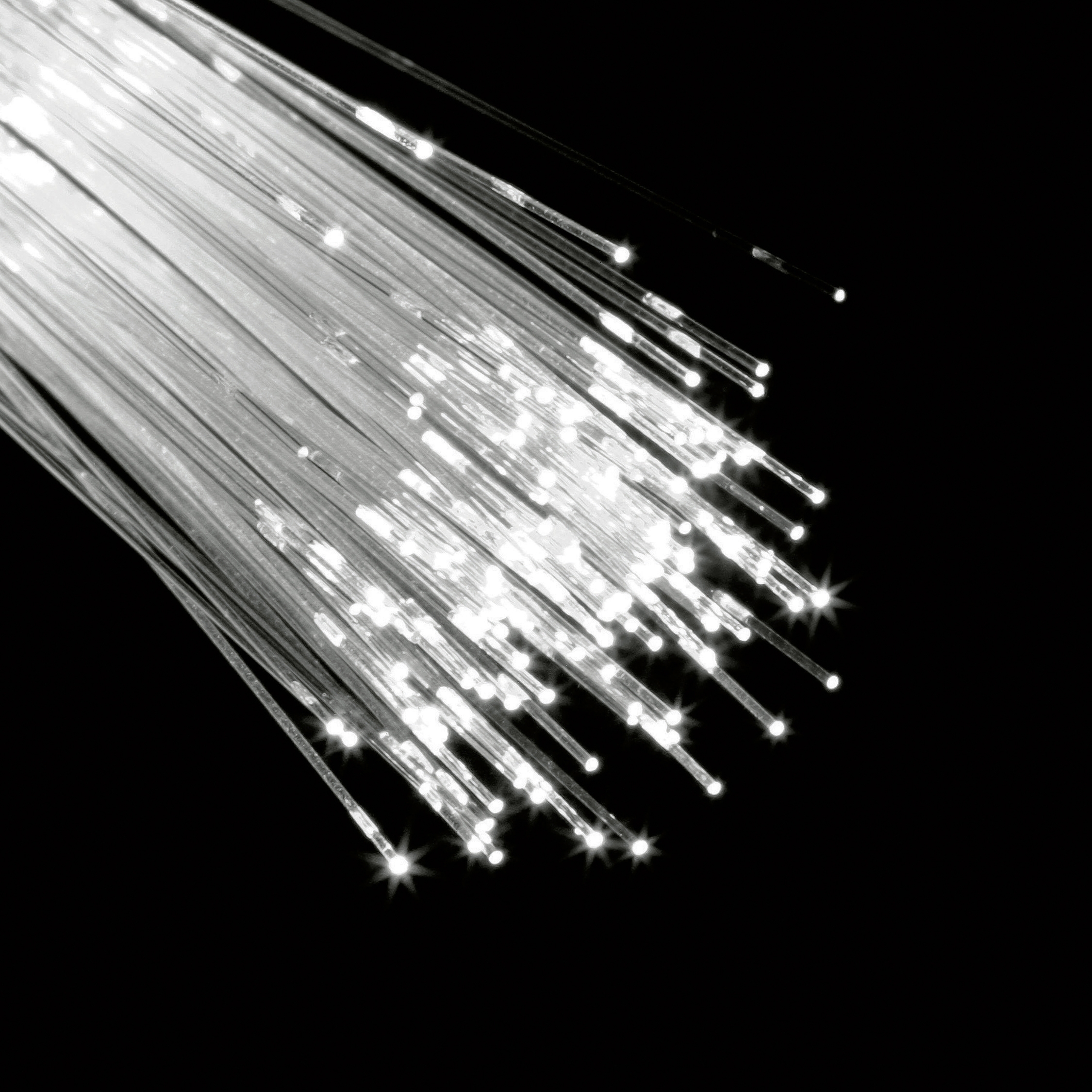 Vertoon produk LED optical fibres van vervaardiger L&L Luce&Light
