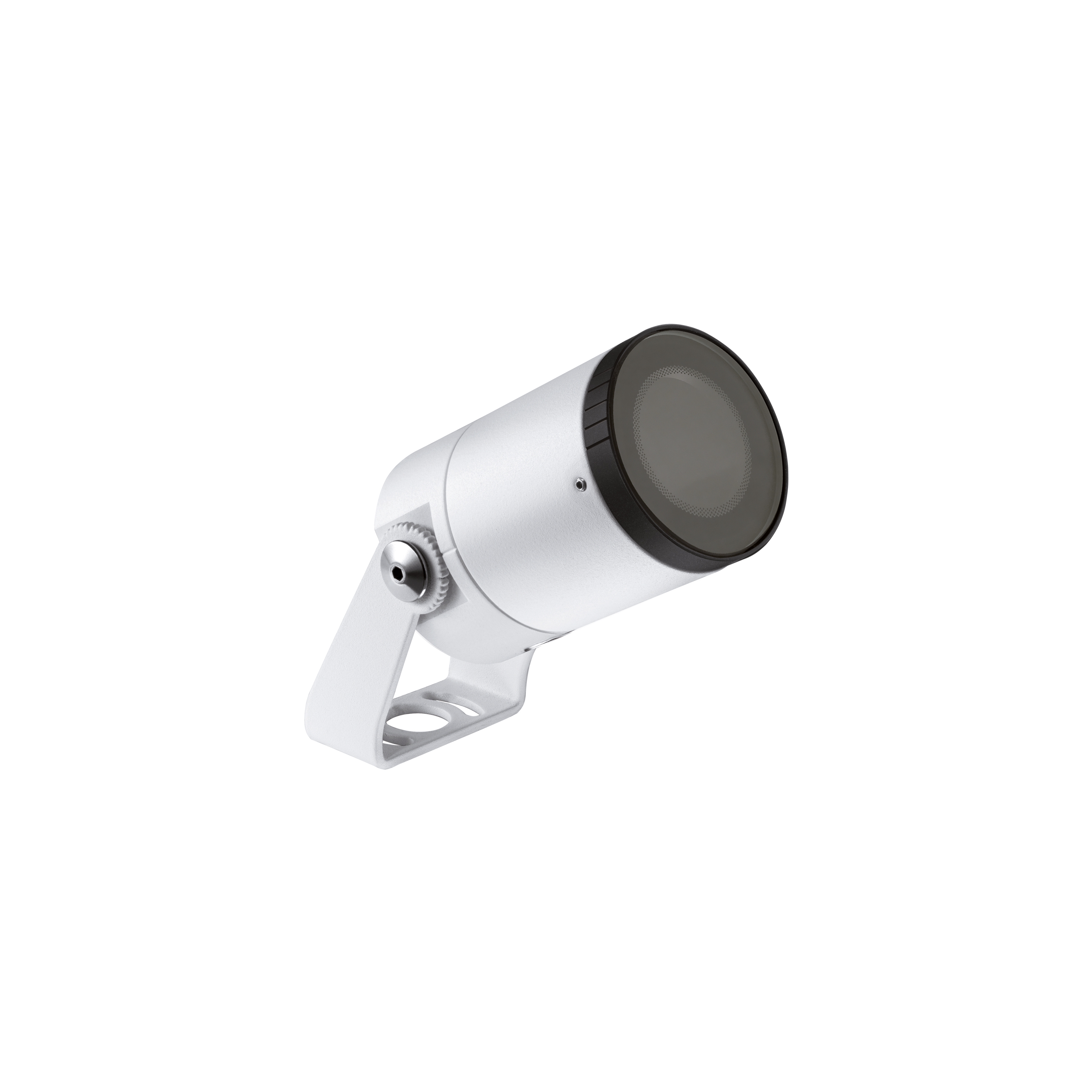 Ginko 2.4