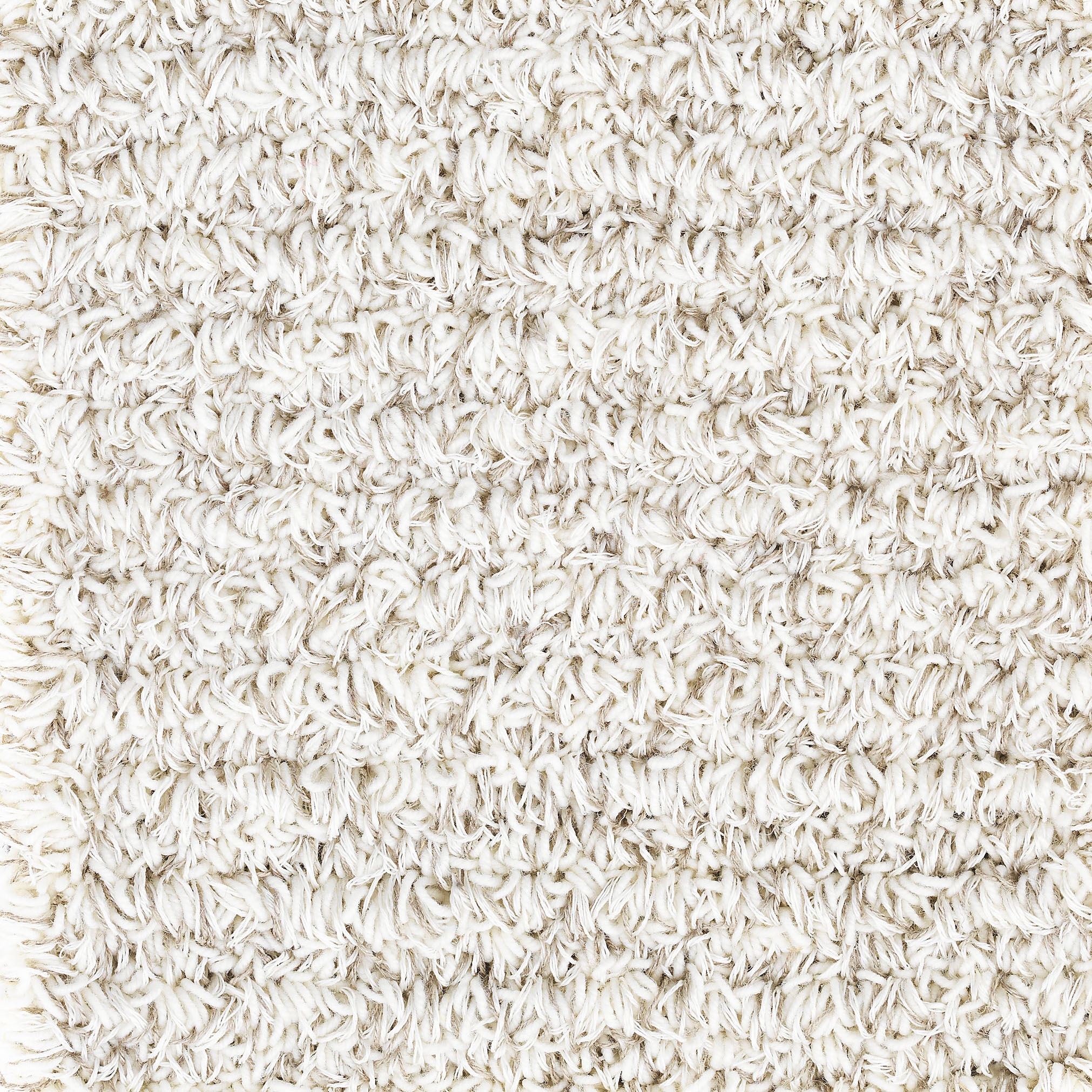 Camelia Loop white
