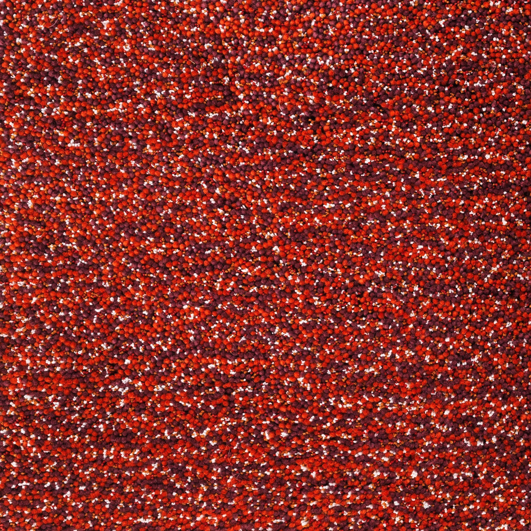 Camelia Pile red-1