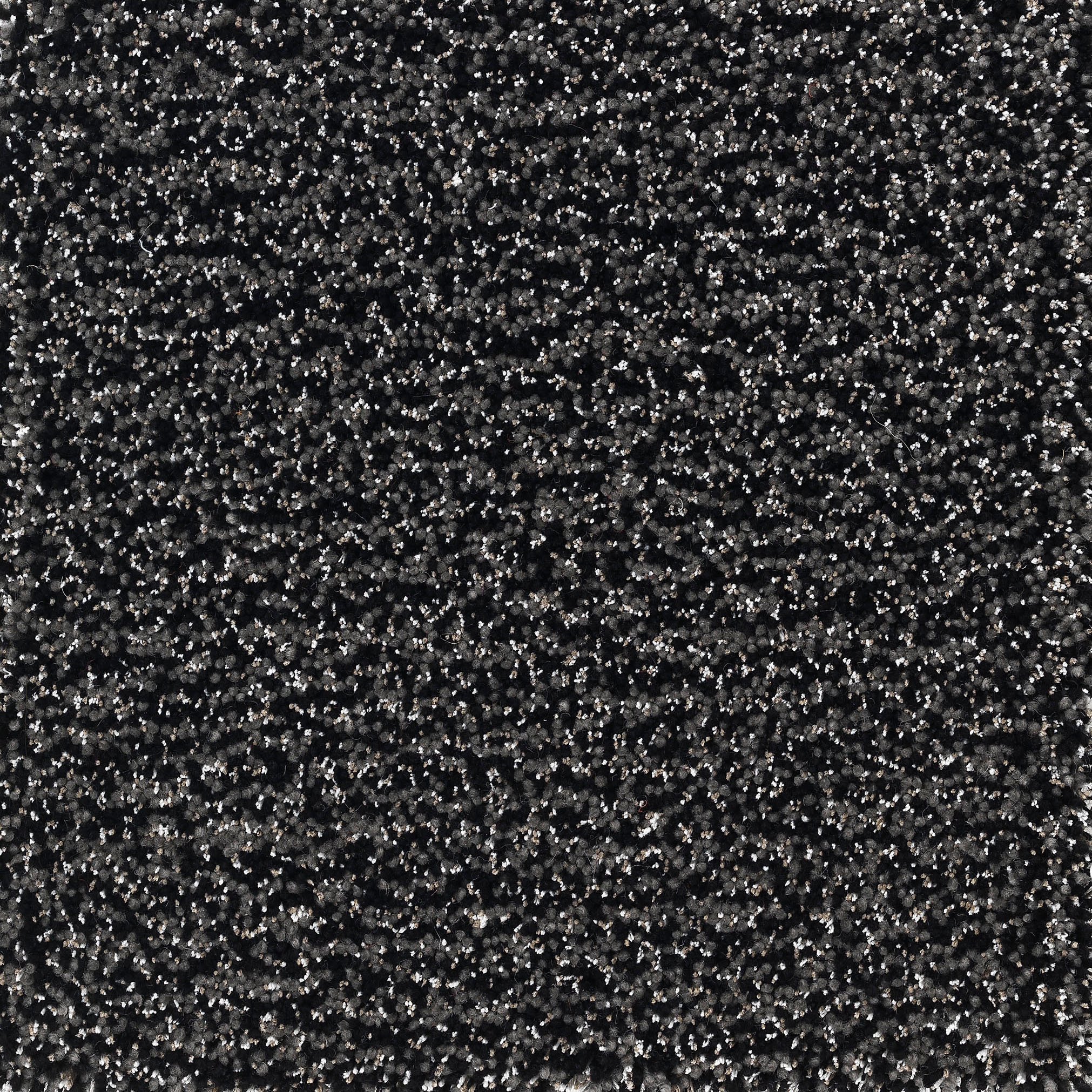 Mostra il prodotto Camelia Pile black-1 del produttore Kateha