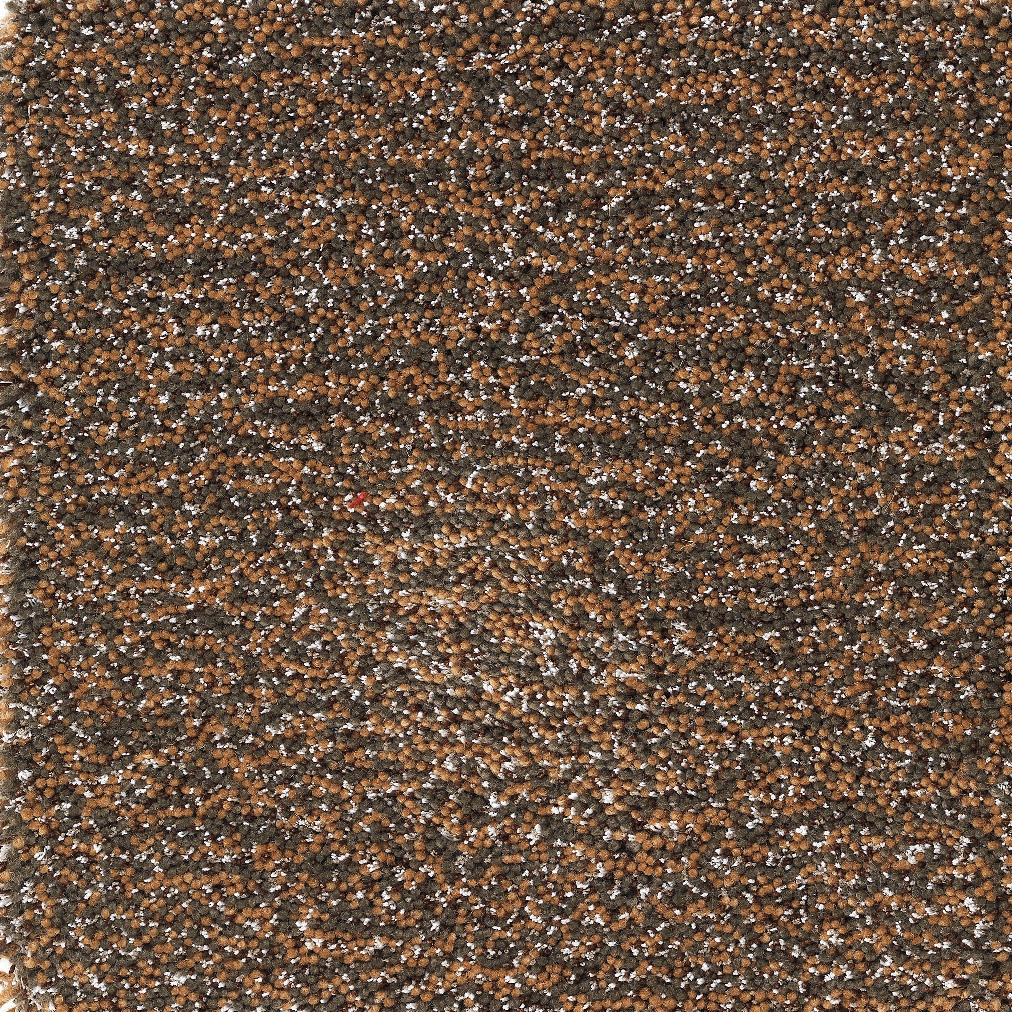 Camelia Pile brown-3