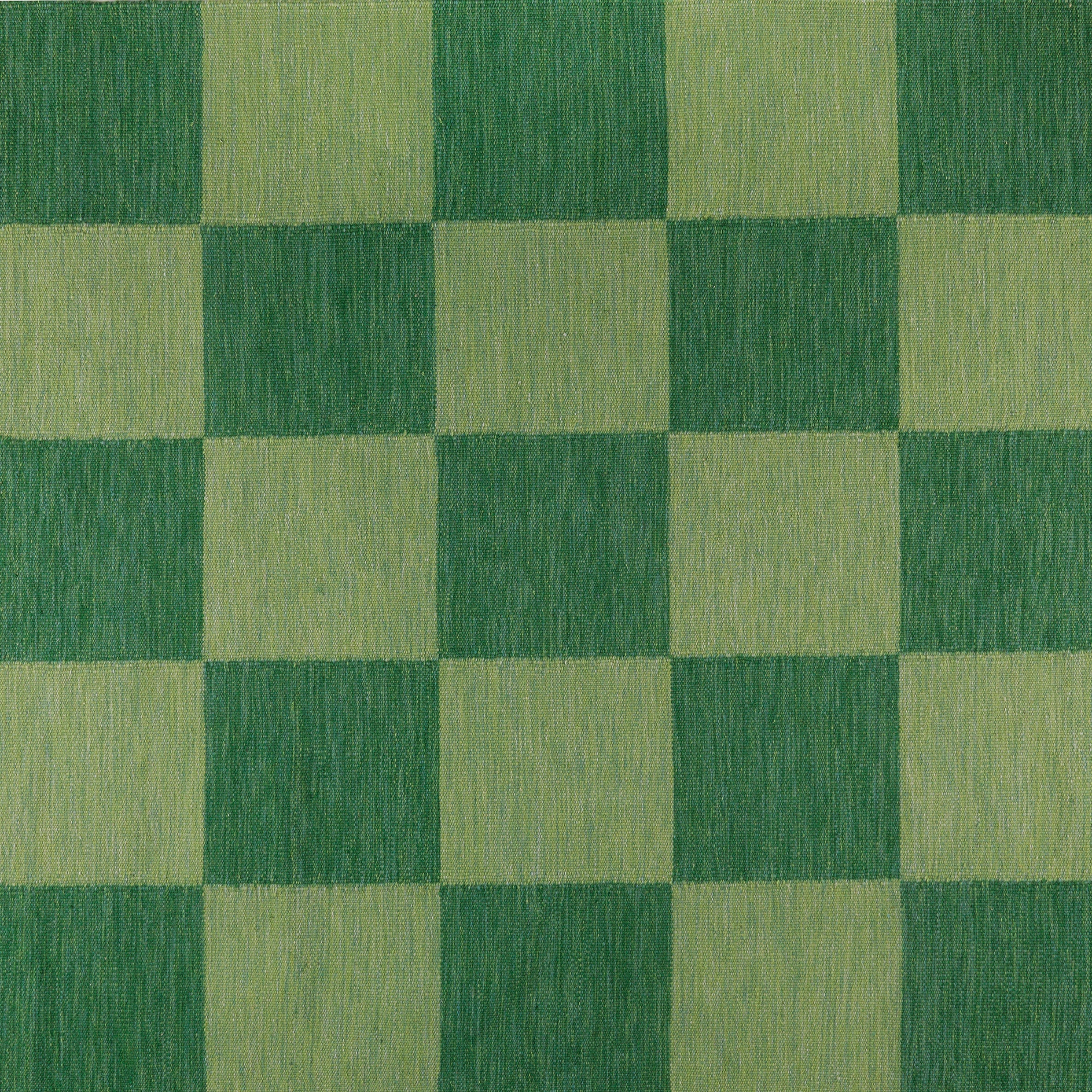 Allium Fox Trott green