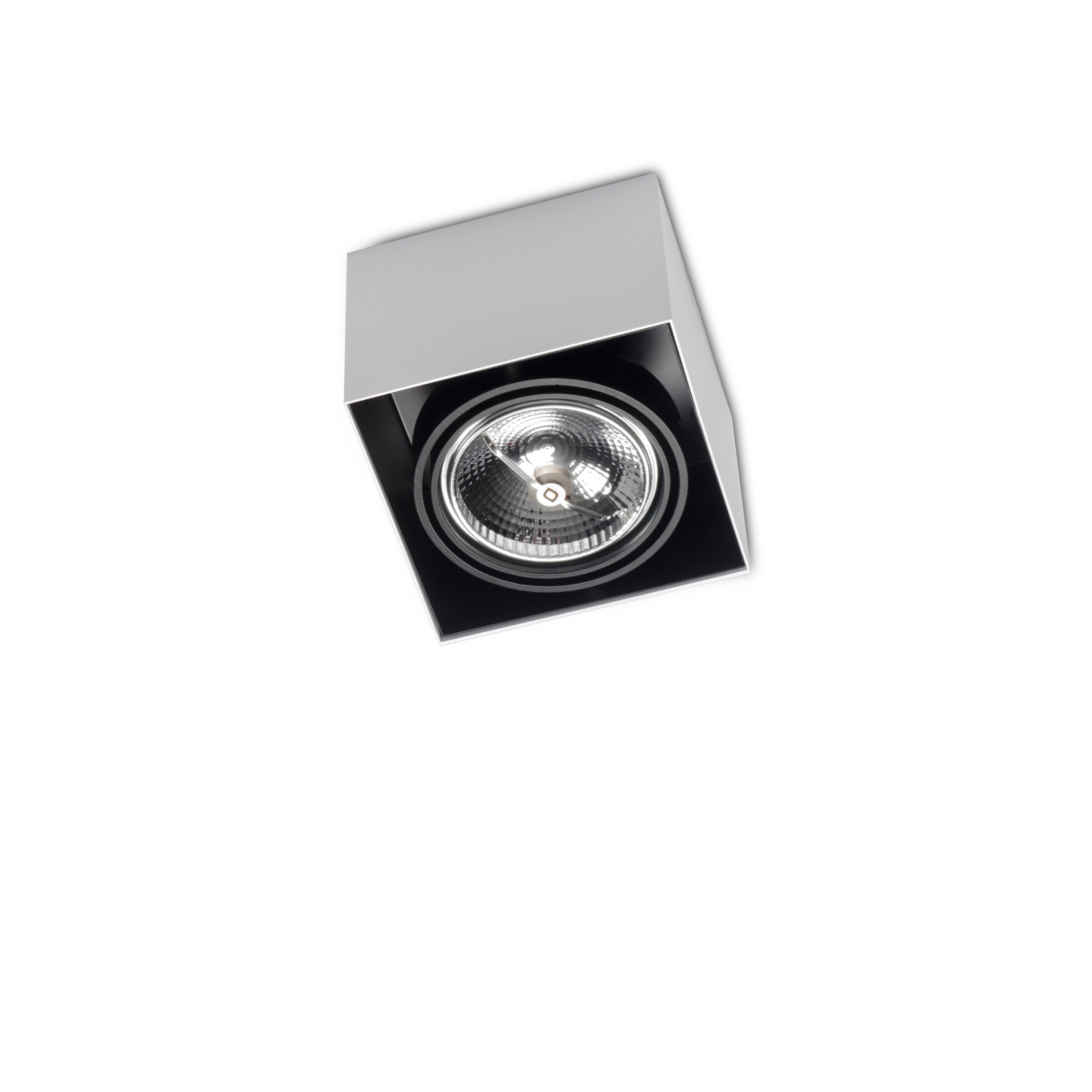 Produkt LOOK OUT SINGLE 1X QR111 ≤ 100W des Herstellers Orbit anzeigen