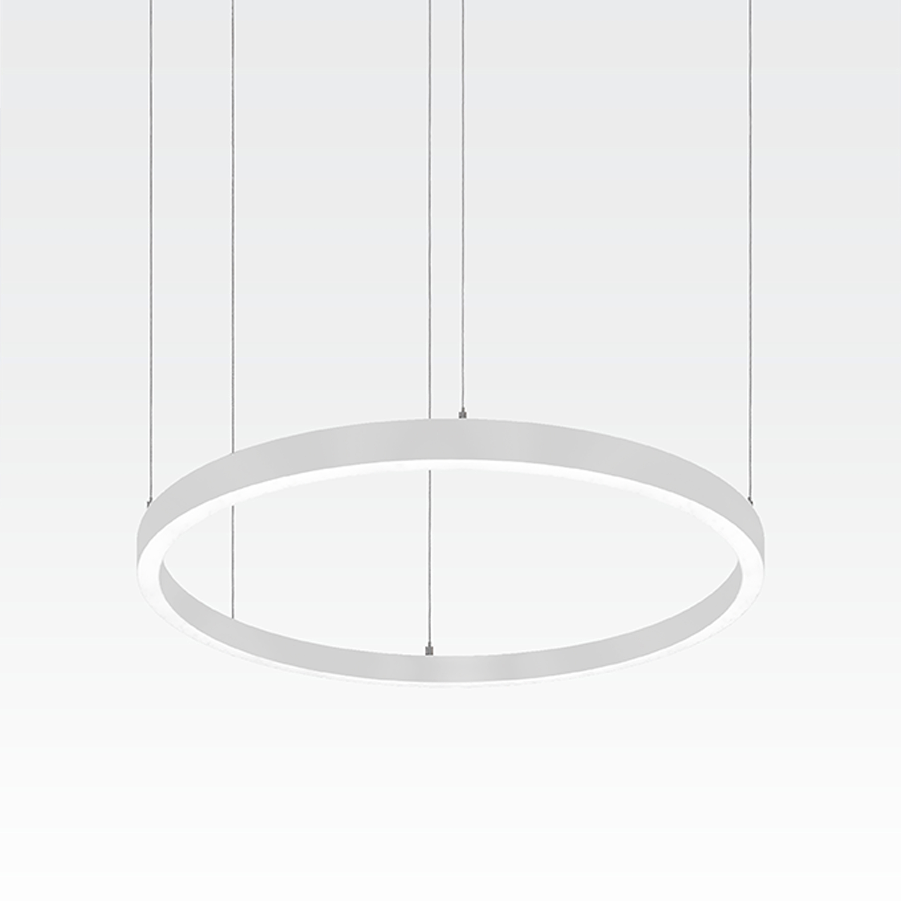 Mostra il prodotto RIN LEDLINE del produttore Orbit