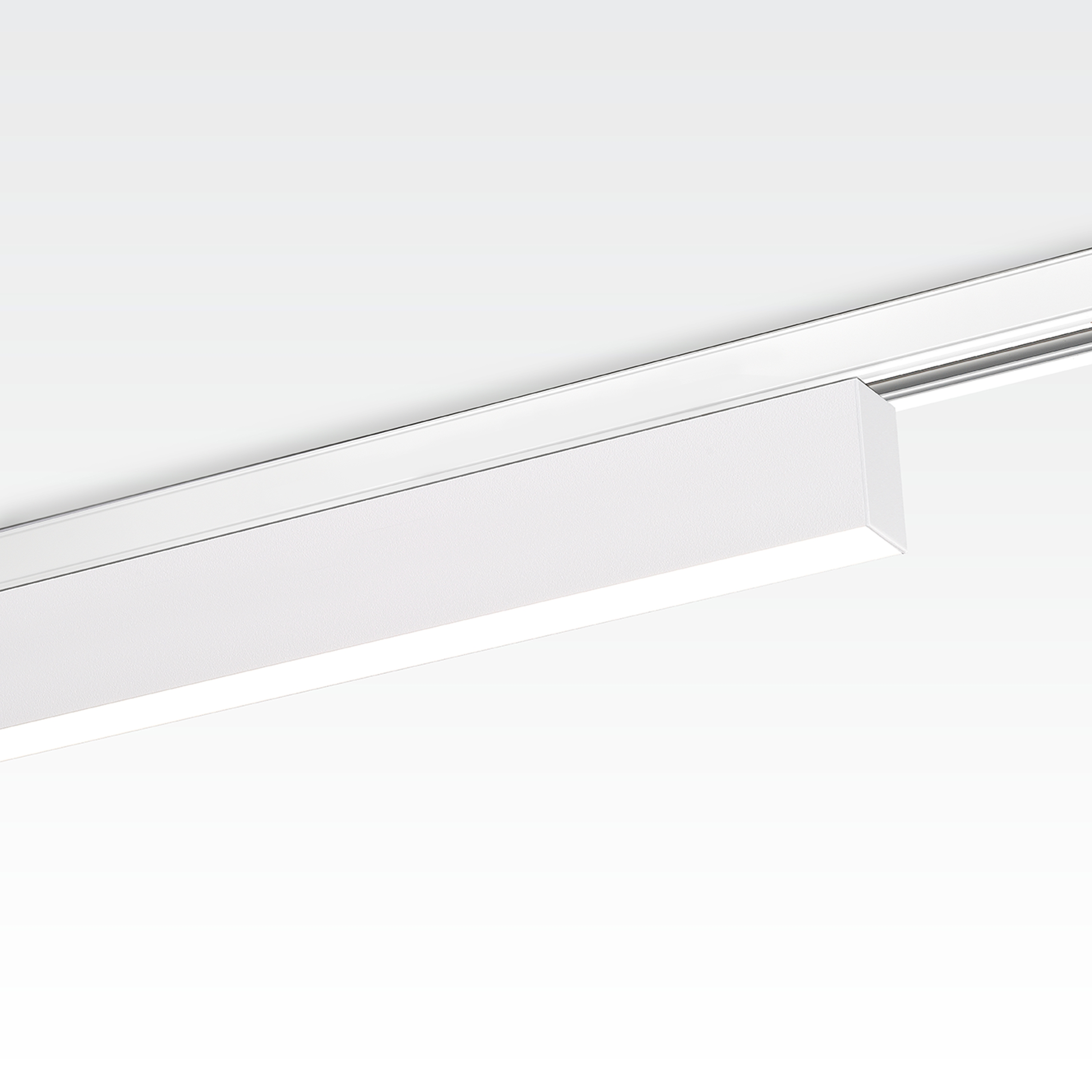 Produkt TRAXX 1X  LEDLINE des Herstellers Orbit anzeigen