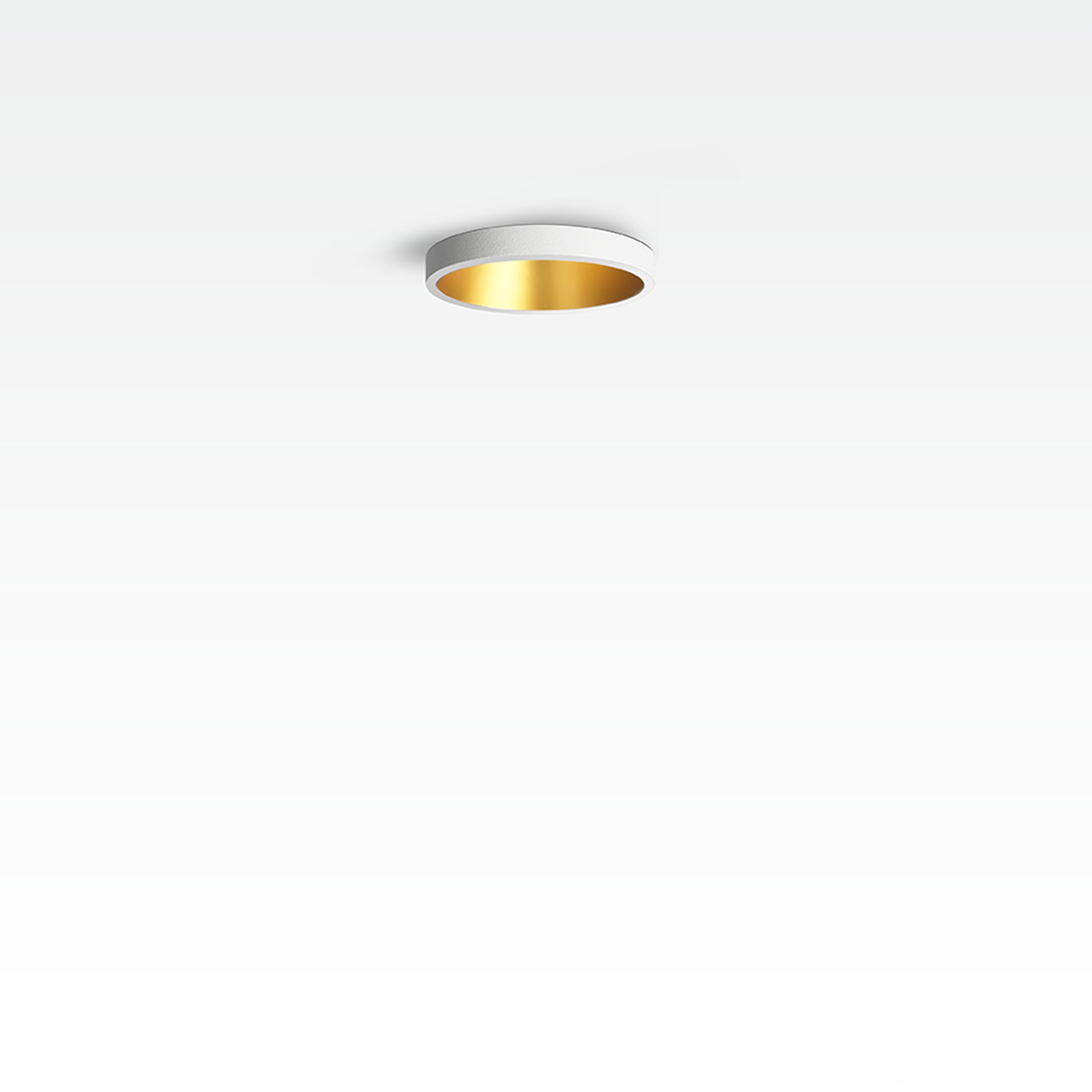 Mostra il prodotto TUBED MINI LOW HALF IN 1X COB LED del produttore Orbit