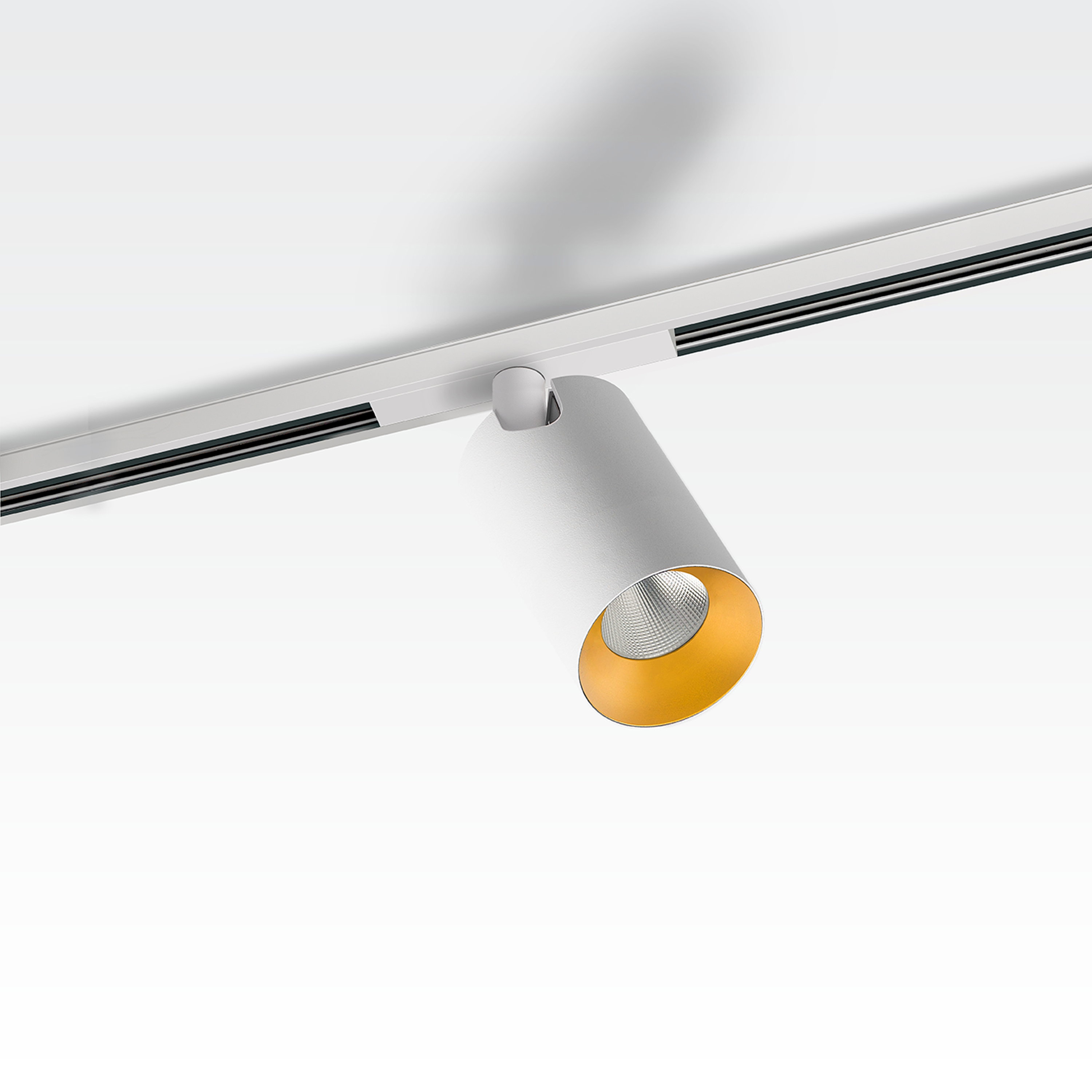 Mostra il prodotto TUBLR MEDIUM T1 48V TRACK 1X  COB LED del produttore Orbit