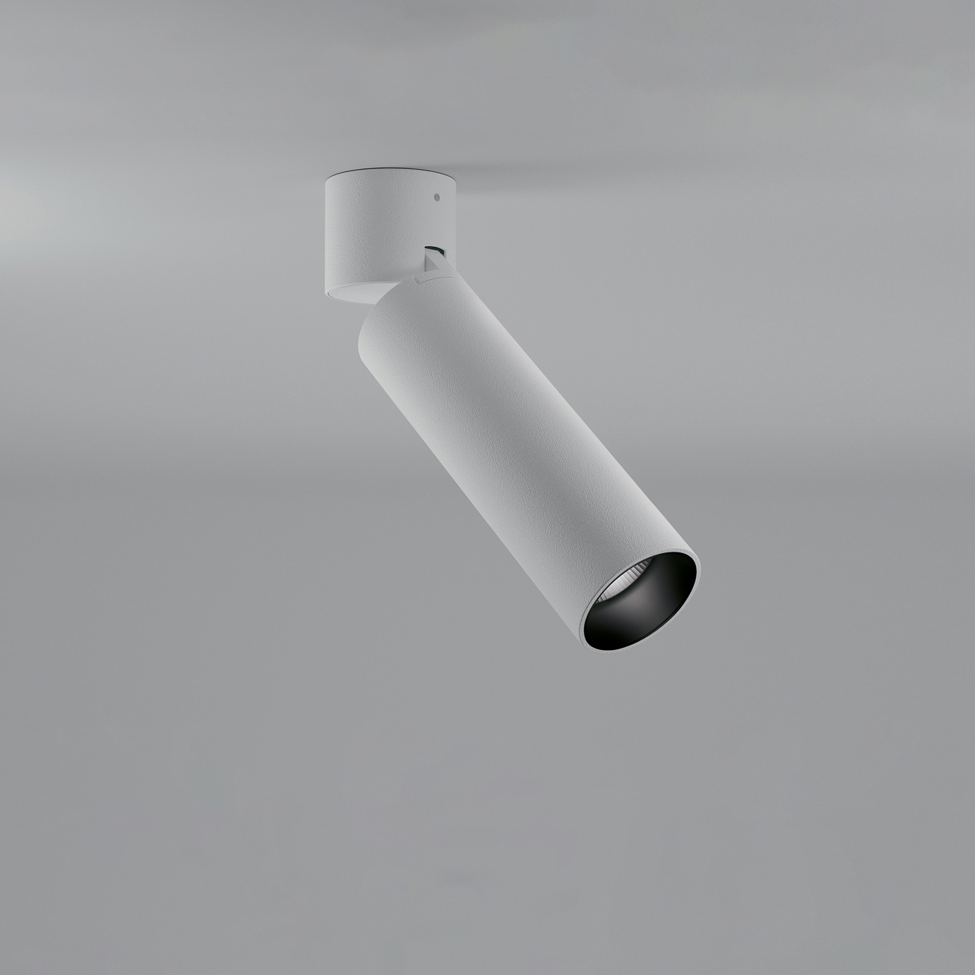 Produkt Lola des Herstellers Panzeri anzeigen