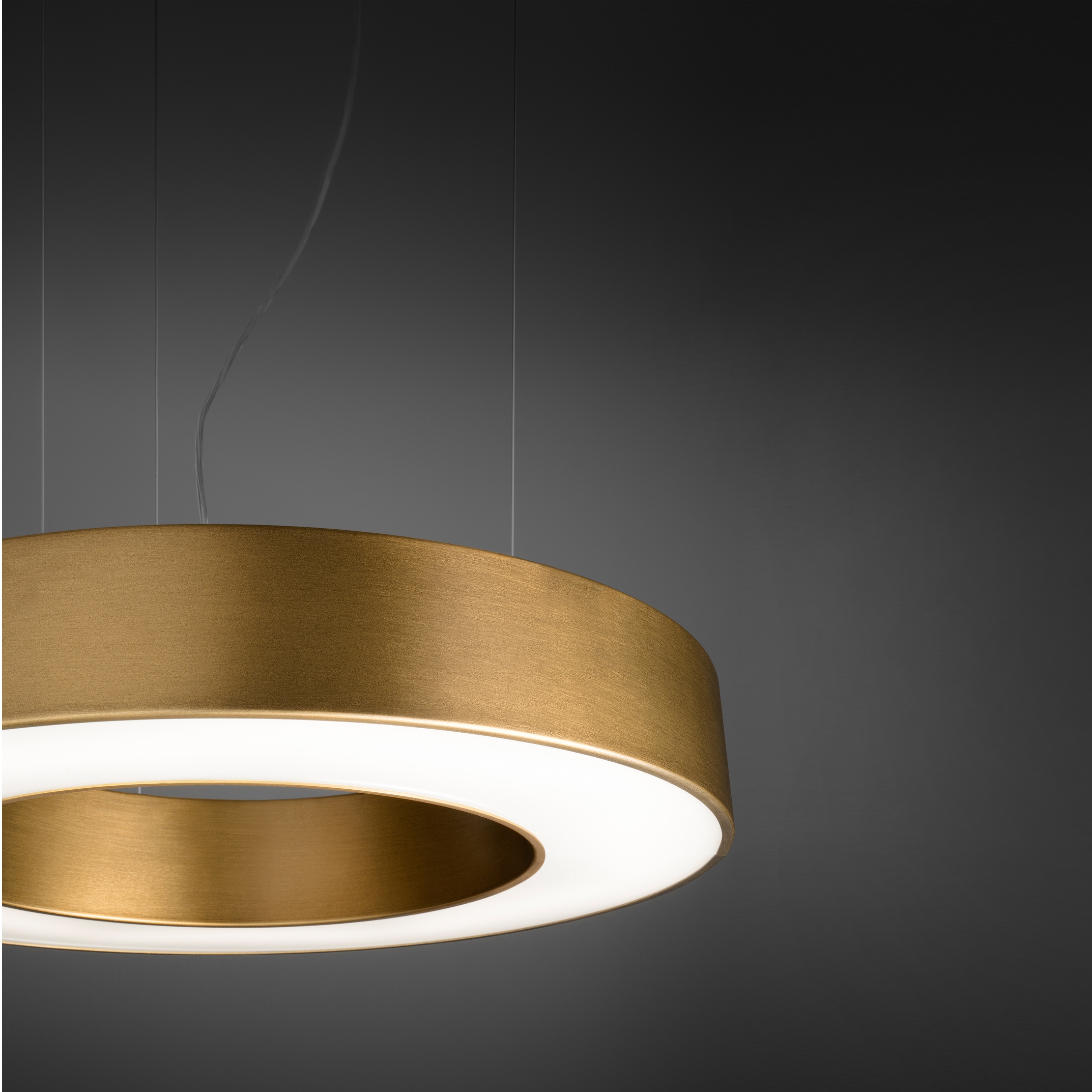 Produkt Silver Ring des Herstellers Panzeri anzeigen