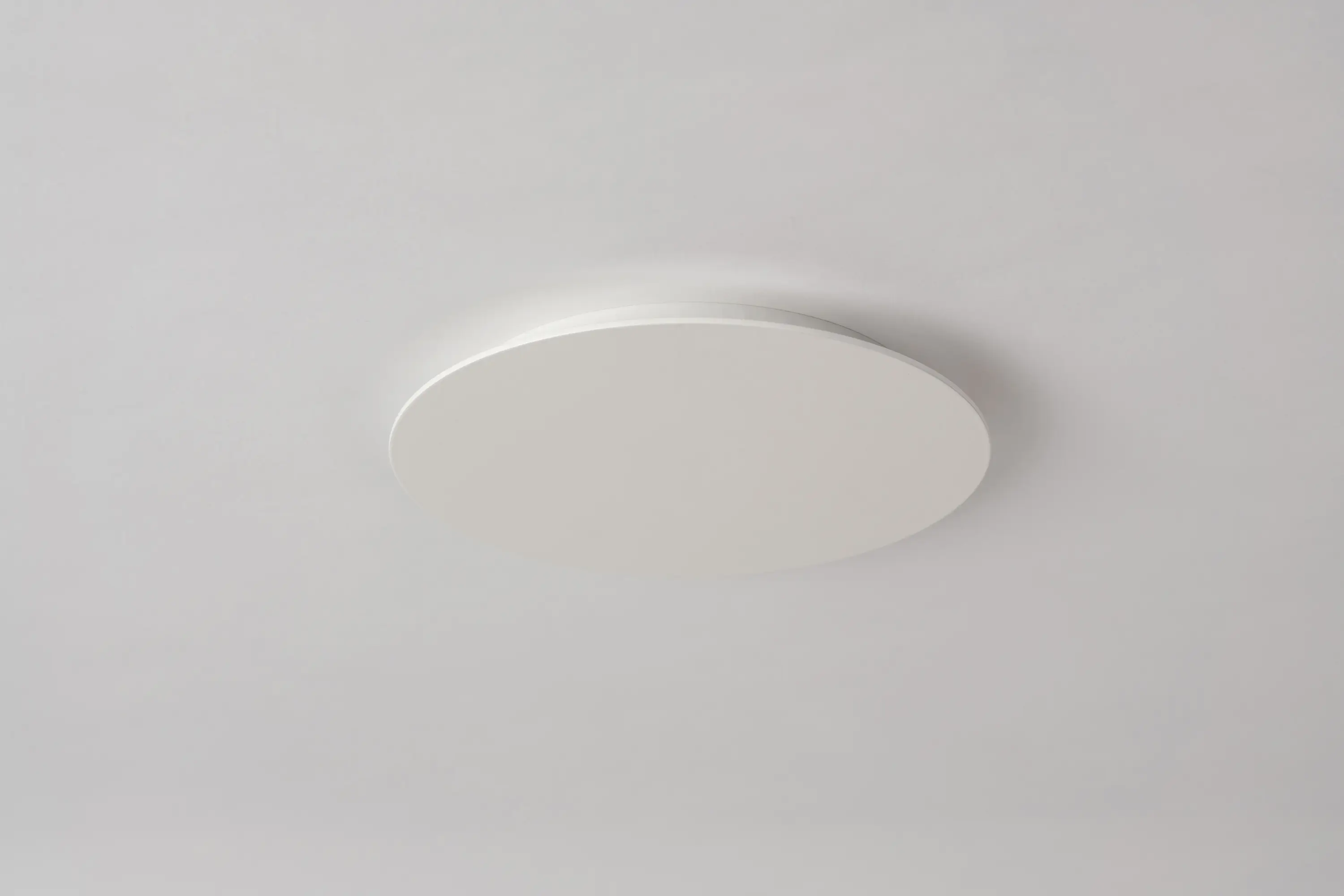 Nyta - Distribution canopy