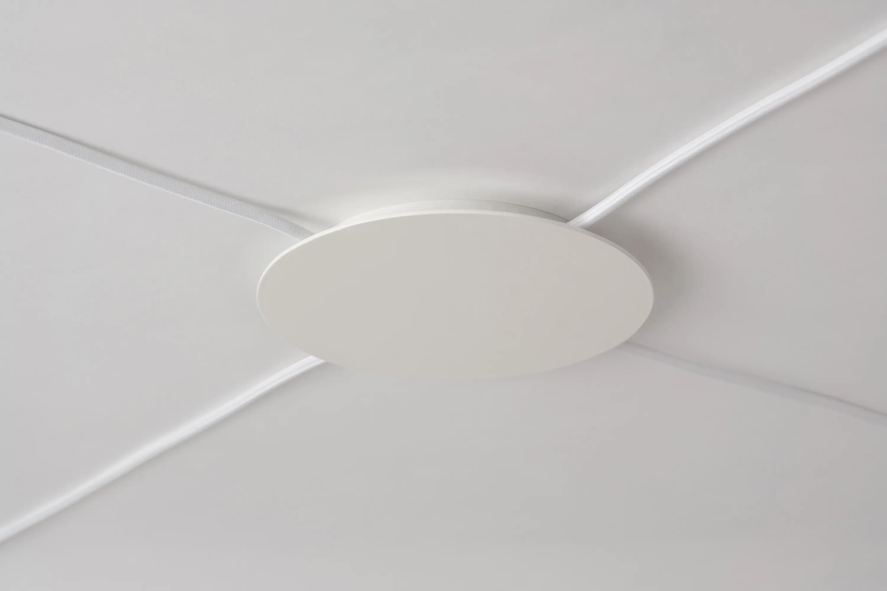 Nyta - Distribution canopy