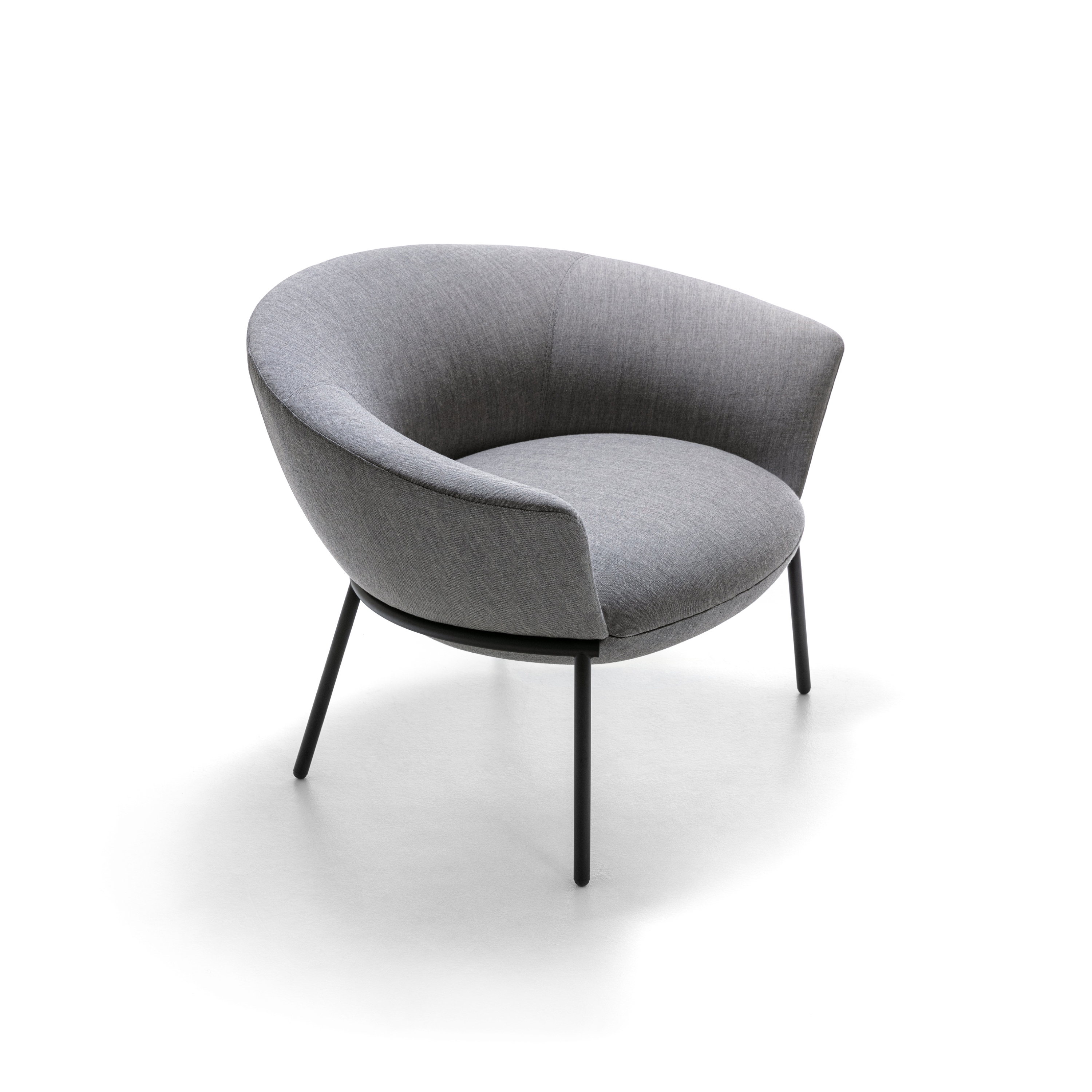 Display product Swale low armchair from manufacturer La Cividina