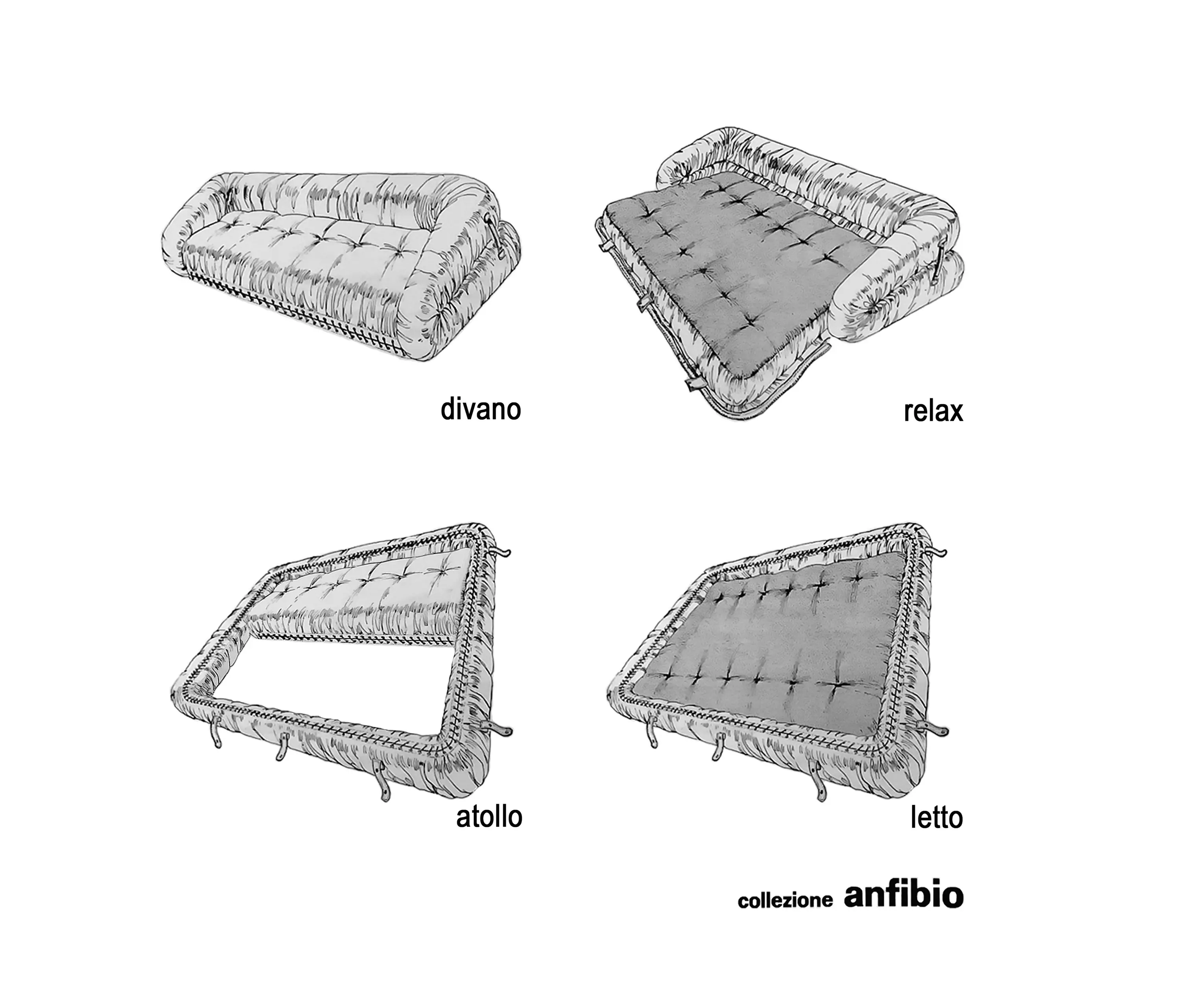 Giovannetti Collezioni - Amphibian