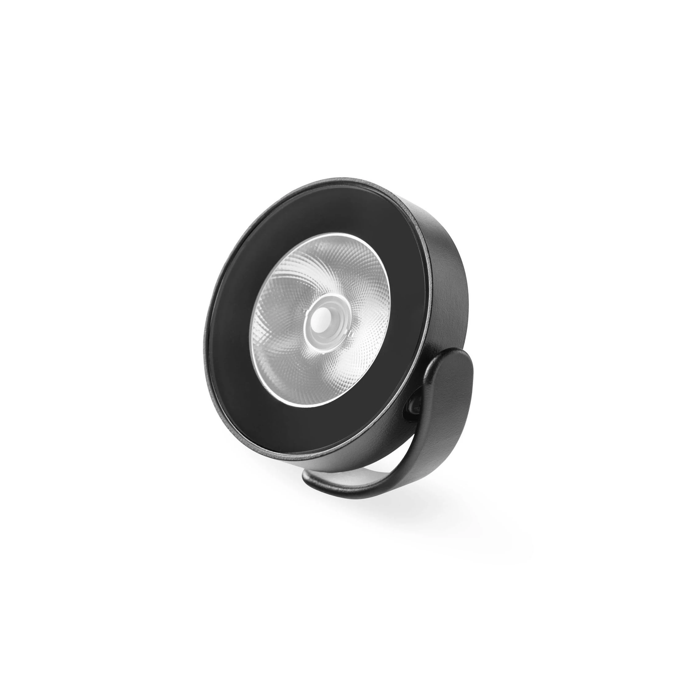 Decorative Floodlight