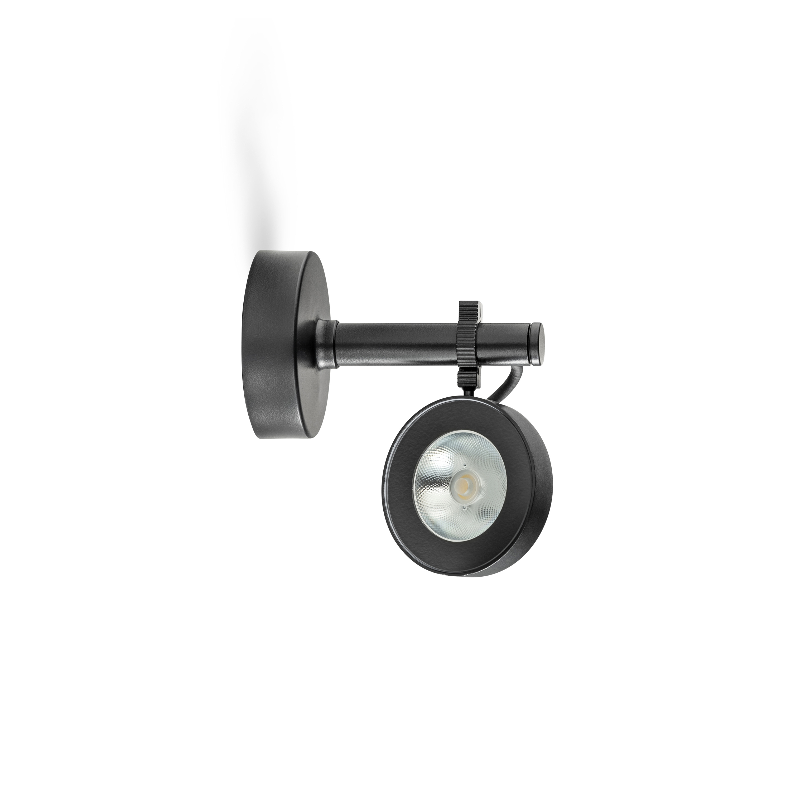 Display product Frog from manufacturer Platek
