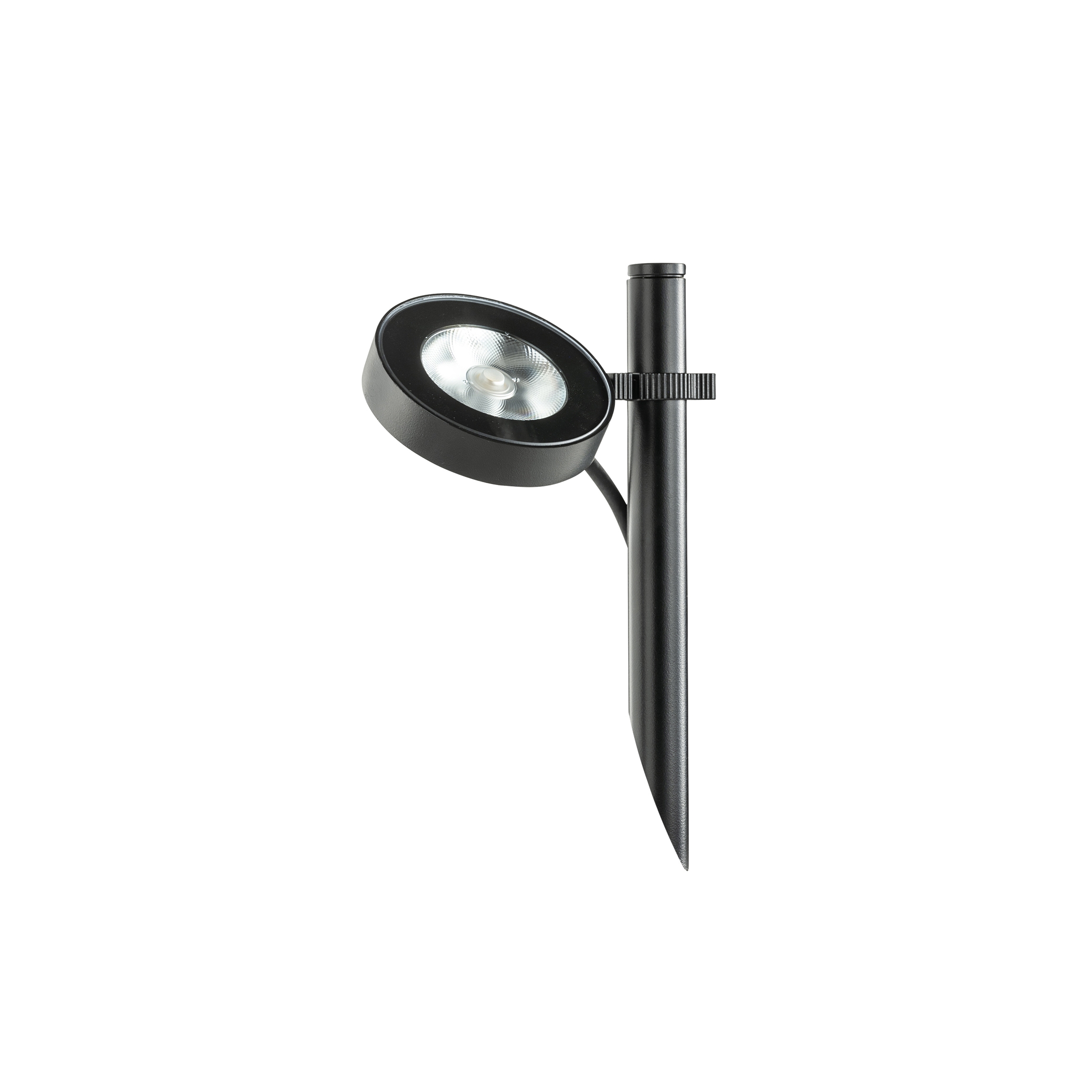 Display product Frog from manufacturer Platek