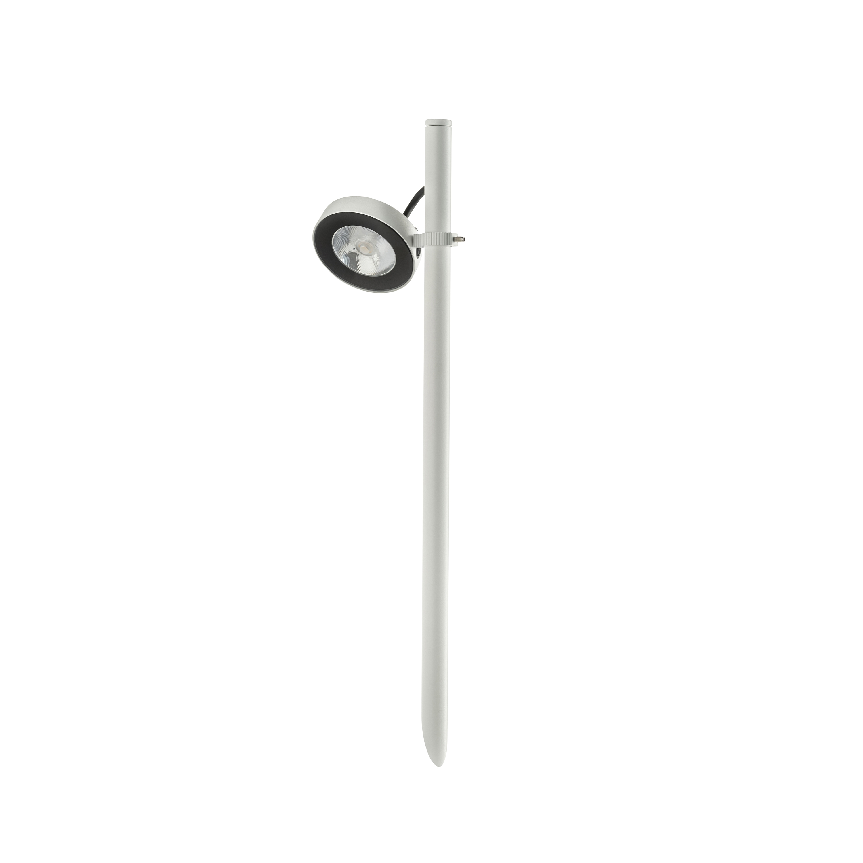 Display product Frog from manufacturer Platek