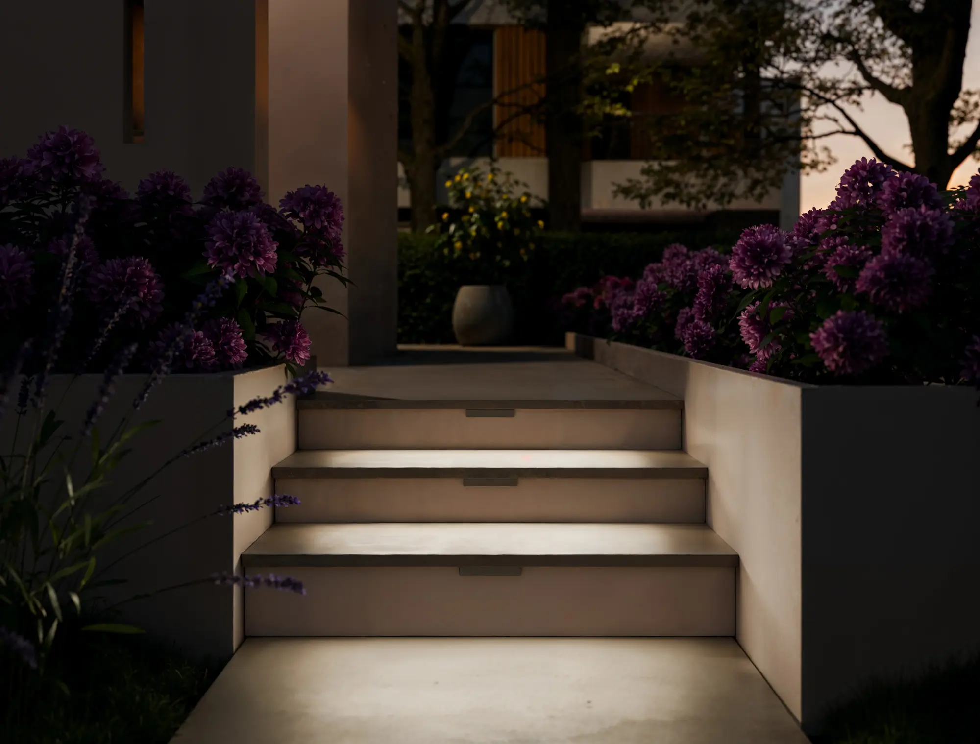 Platek - Egad Step light