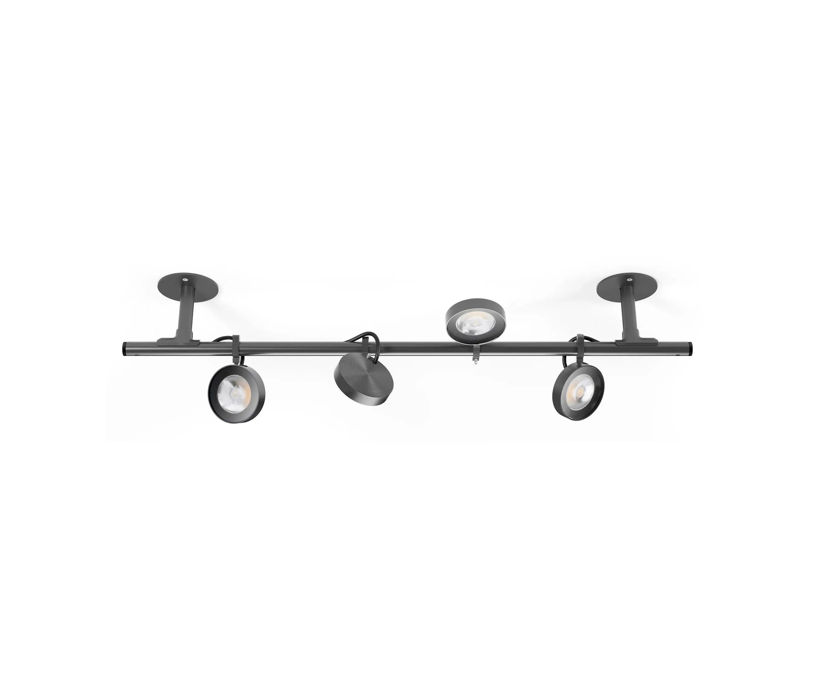 Platek - Frog Ceiling