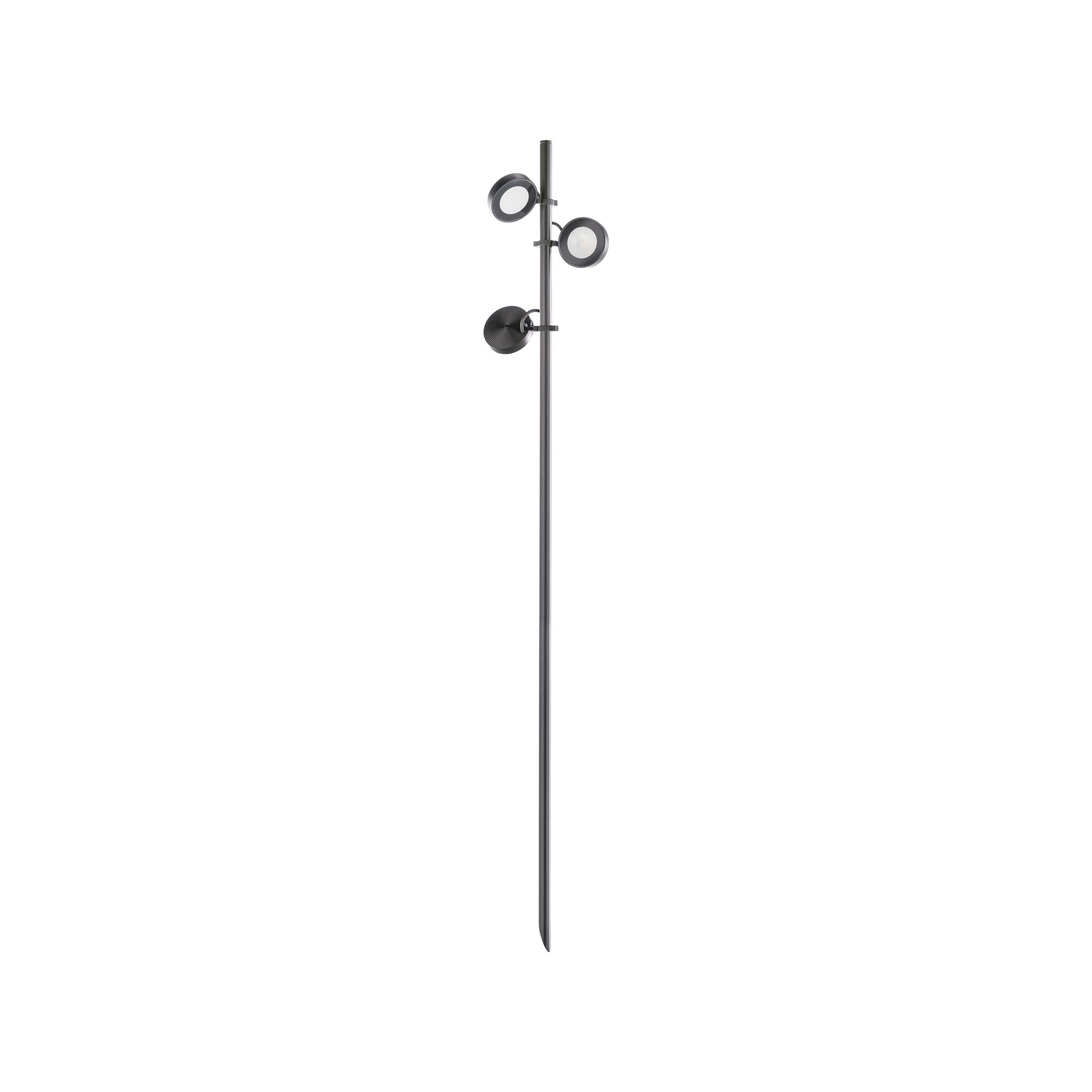 Display product Frog Spike from manufacturer Platek