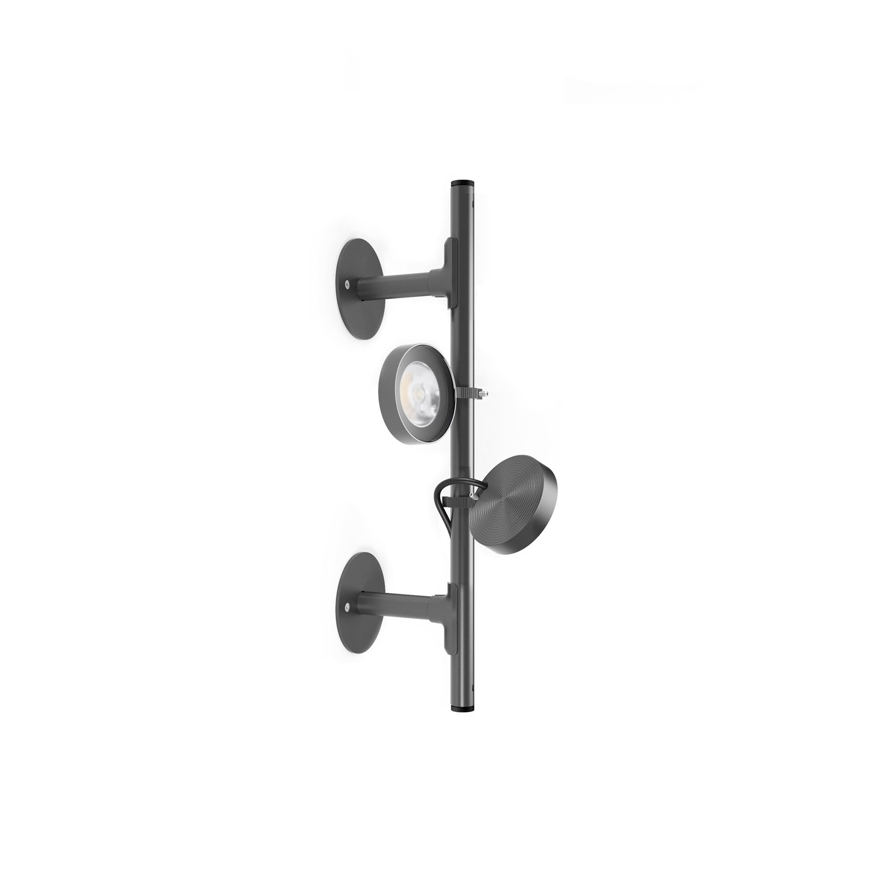 Mostrar el producto Frog Wall del fabricante Platek