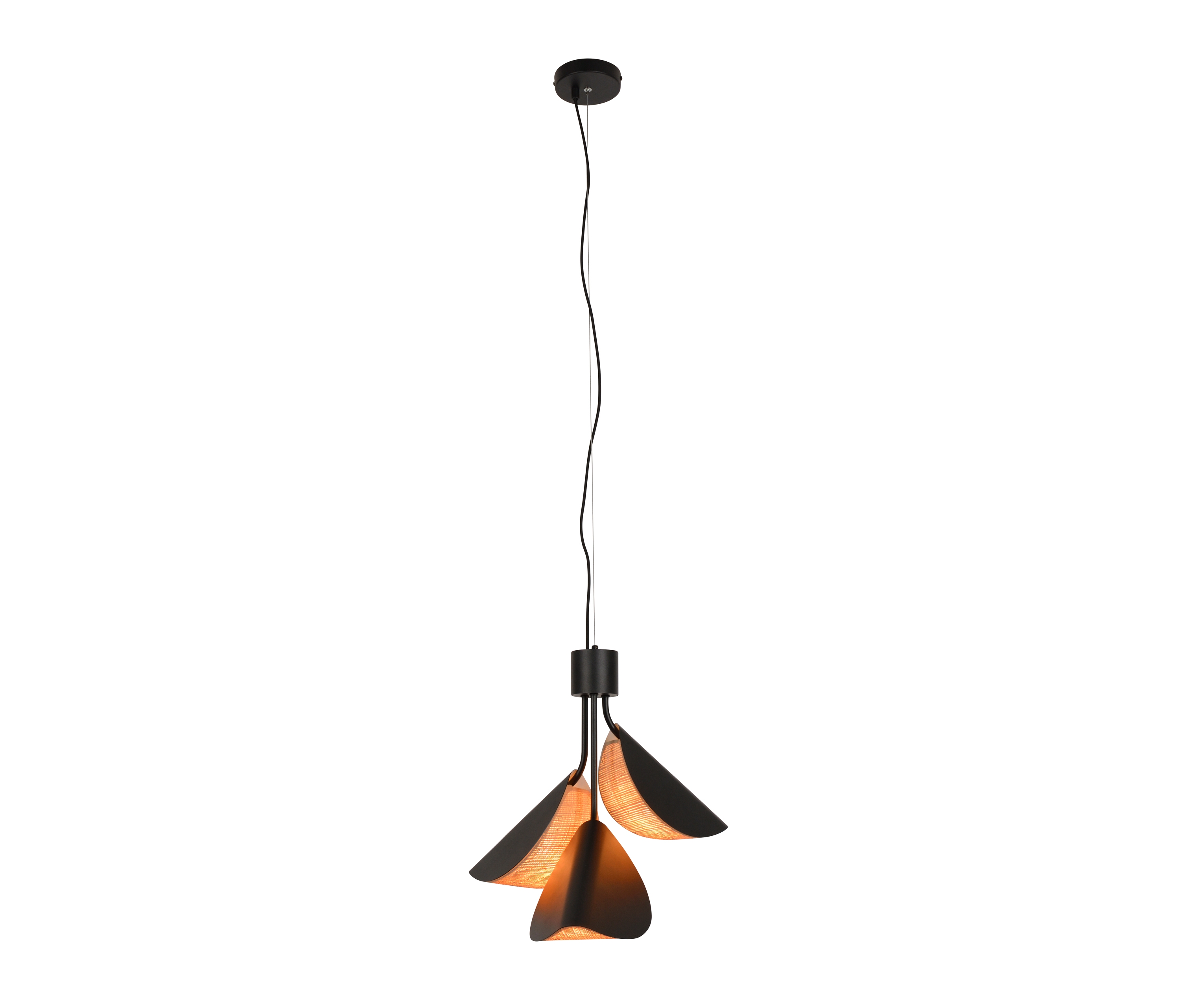 Display product Lys | Pendant lamp | S black from manufacturer Forestier