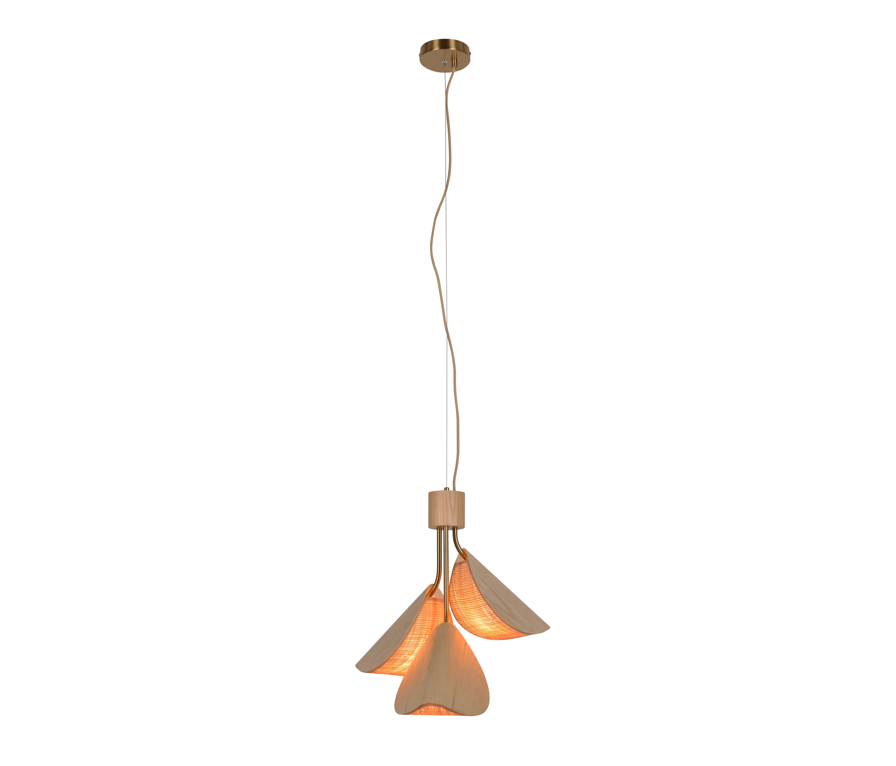 Display product Lys | Pendant lamp | S wood from manufacturer Forestier